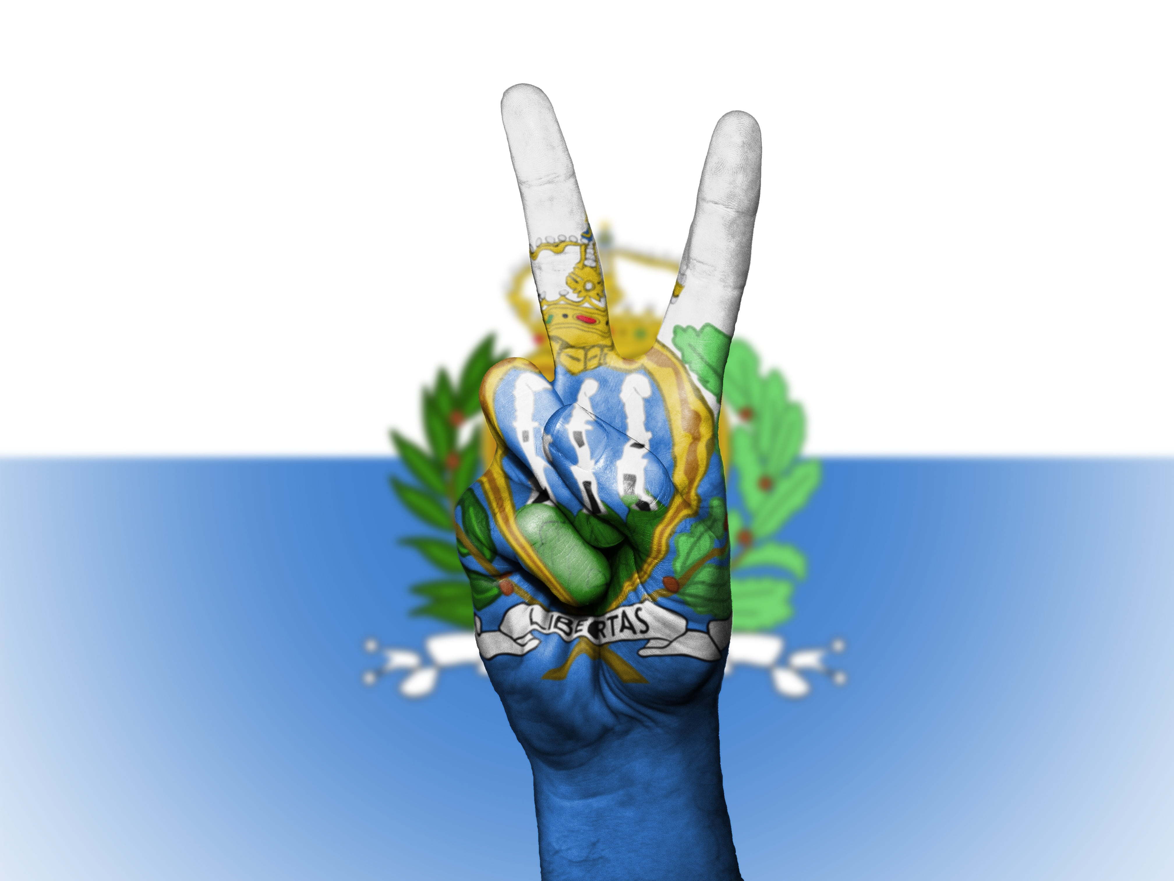 flag, state, human body part, plant, san marino, art and craft, finger, banner, obscured face, icon, flowering plant, hand, studio shot, body part, leaf, HD Wallpaper
