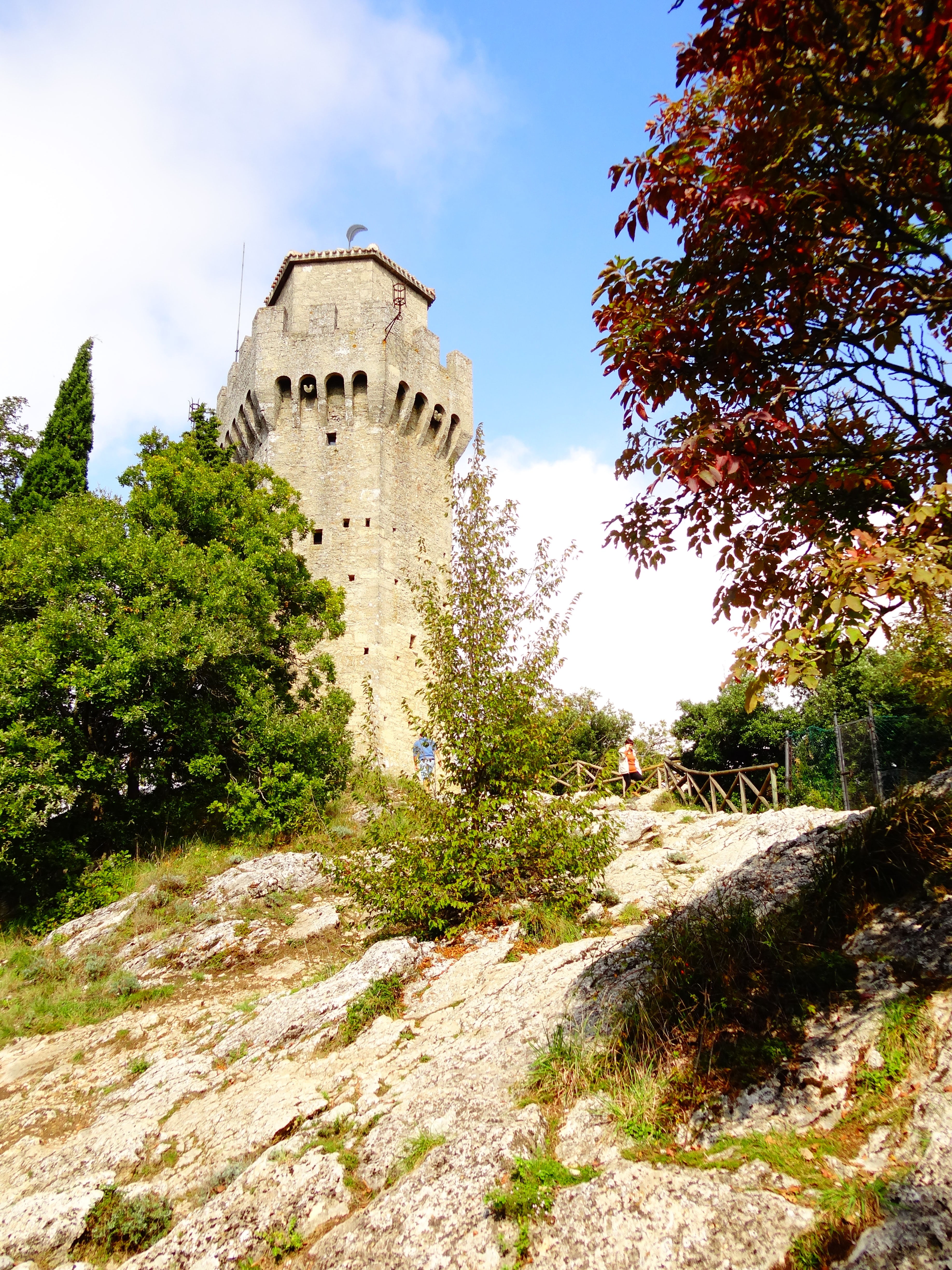 history, castle, old ruin, republic of san marino, rock, building, tree, outdoors, built structure, ancient, old, plant, tower, growth, landscape, nature, Phone HD Wallpaper
