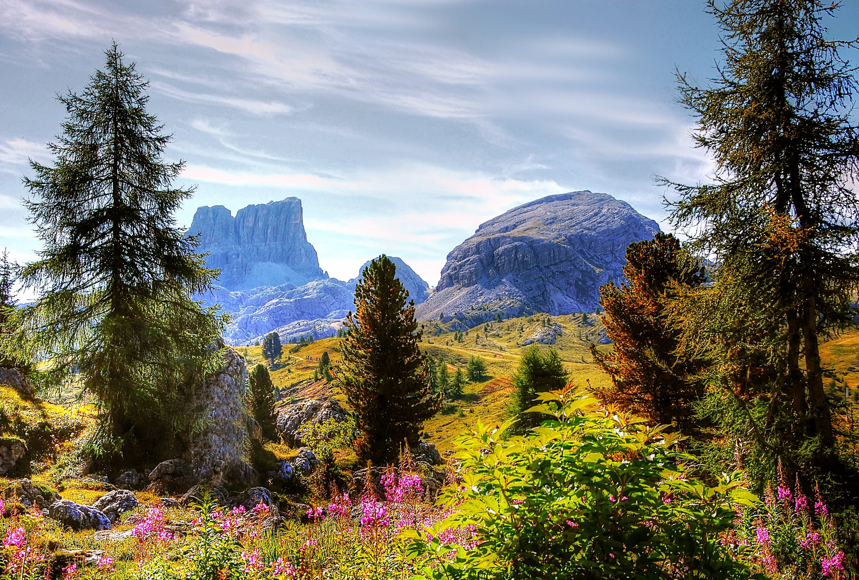 flowering plant, beauty in nature, italy, scenics - nature, 2K, land, nature, snowcapped mountain, non-urban scene, mountain group, tranquil scene, mood, HD Wallpaper