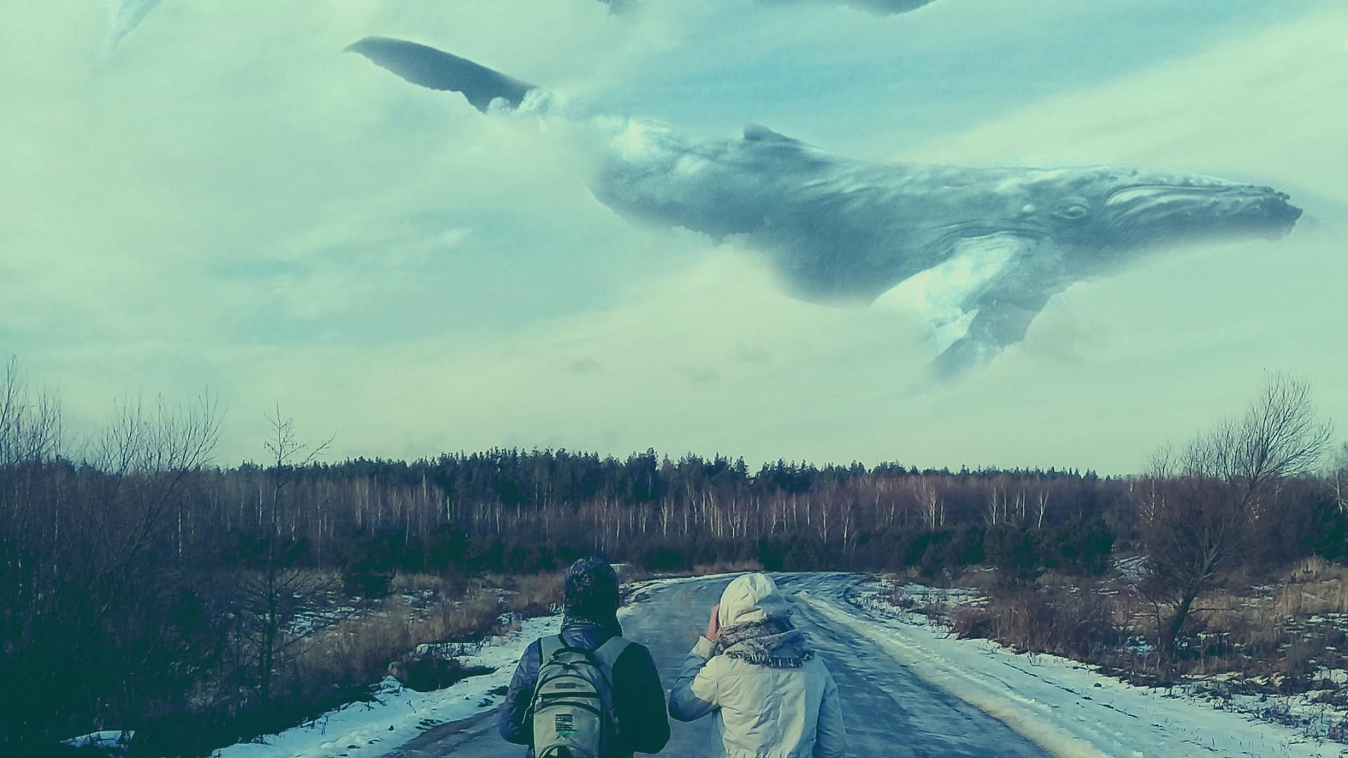 real people, whale, outdoors, landscape, cloud - sky, road, men, lifestyles, two people, plant, land, hikers, leisure activity, warm clothing, sky, snowcapped mountain, HD Wallpaper