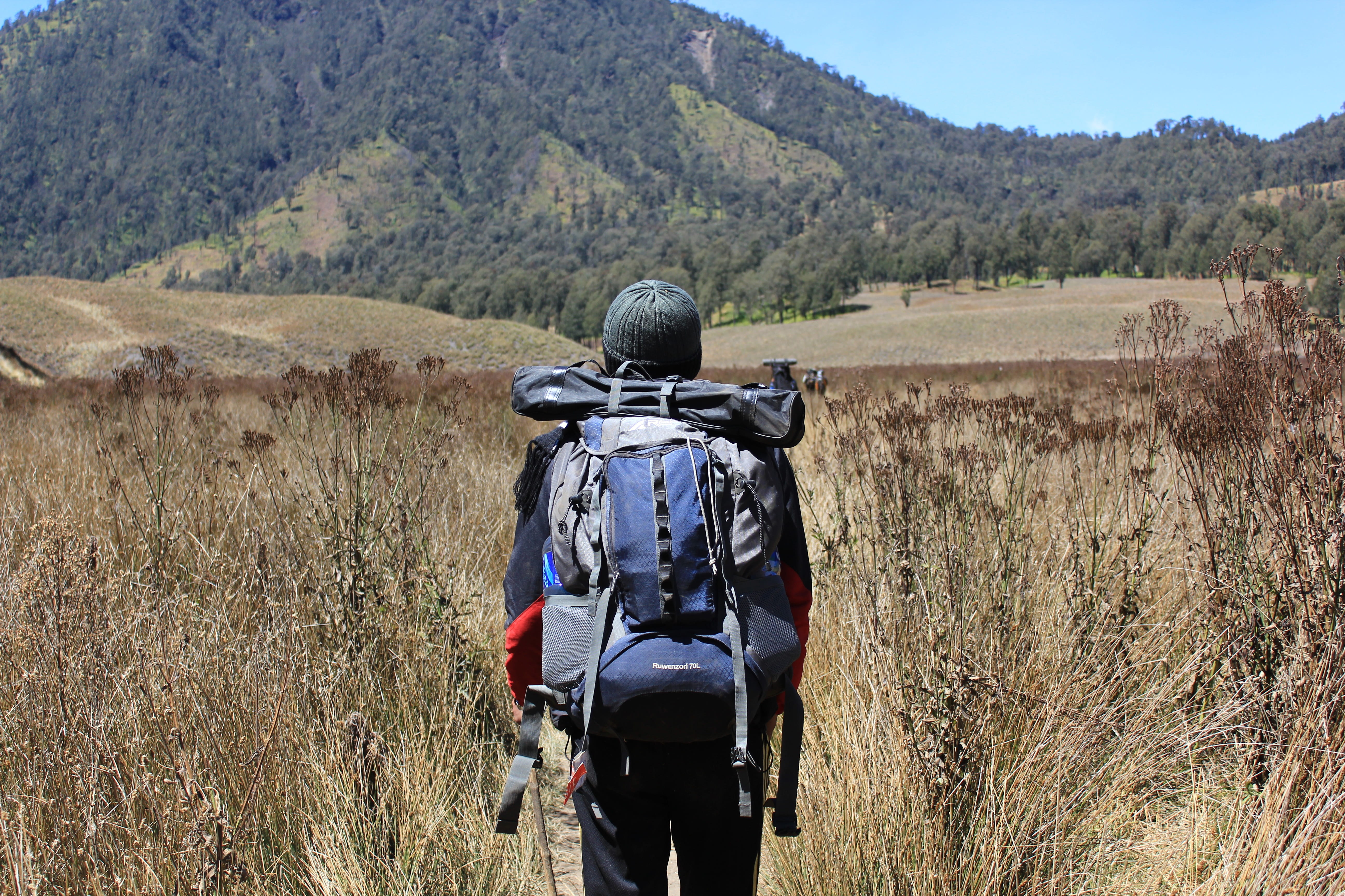 one person, dry season, mountain, land, environment, remote, tree, scenics - nature, day, riding, volcano, indonesian, hiker, activity, leisure activity, HD Wallpaper