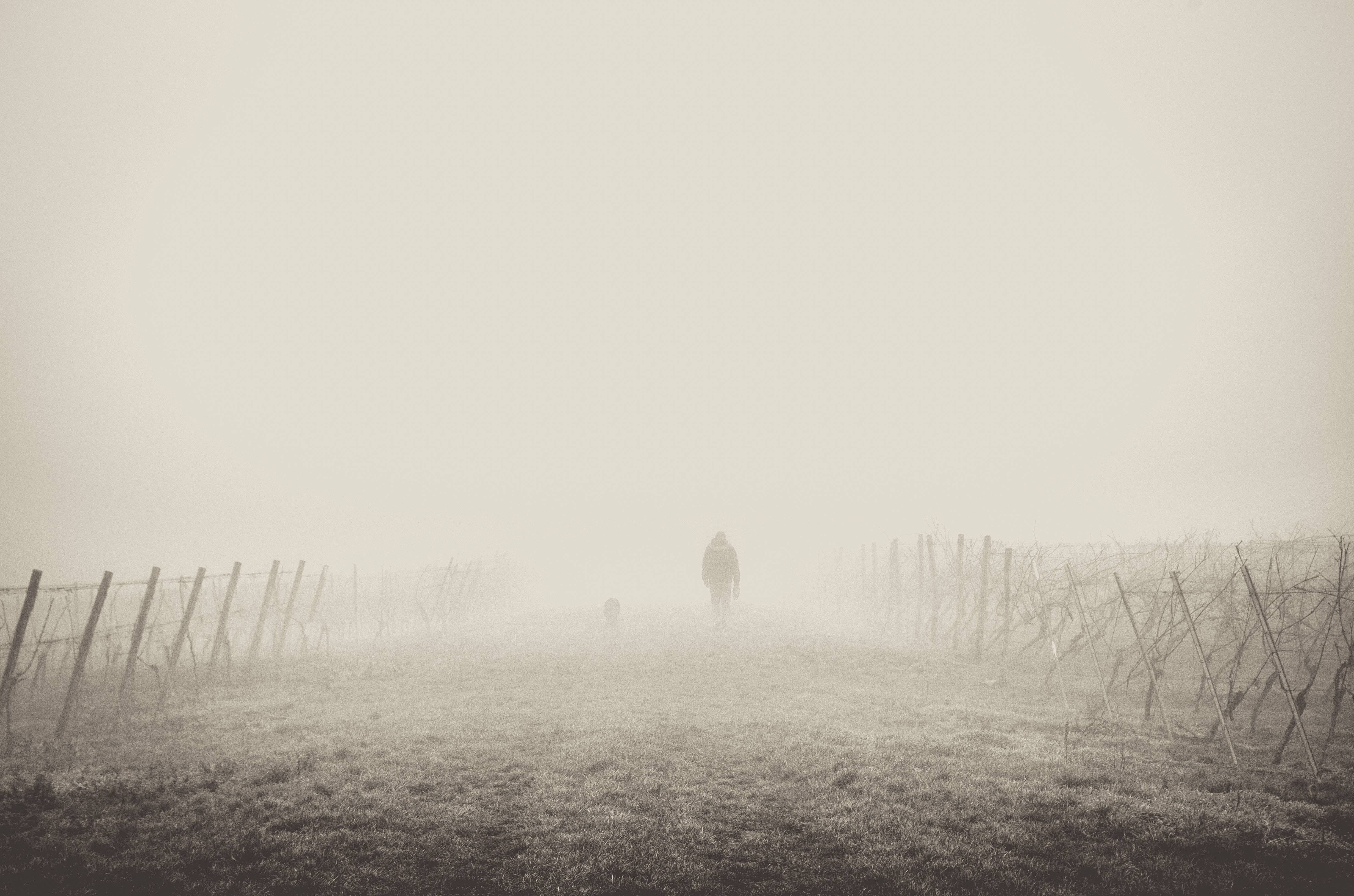 path, hiker, fences, 4K, mist, hiking, fog, walking, HD Wallpaper