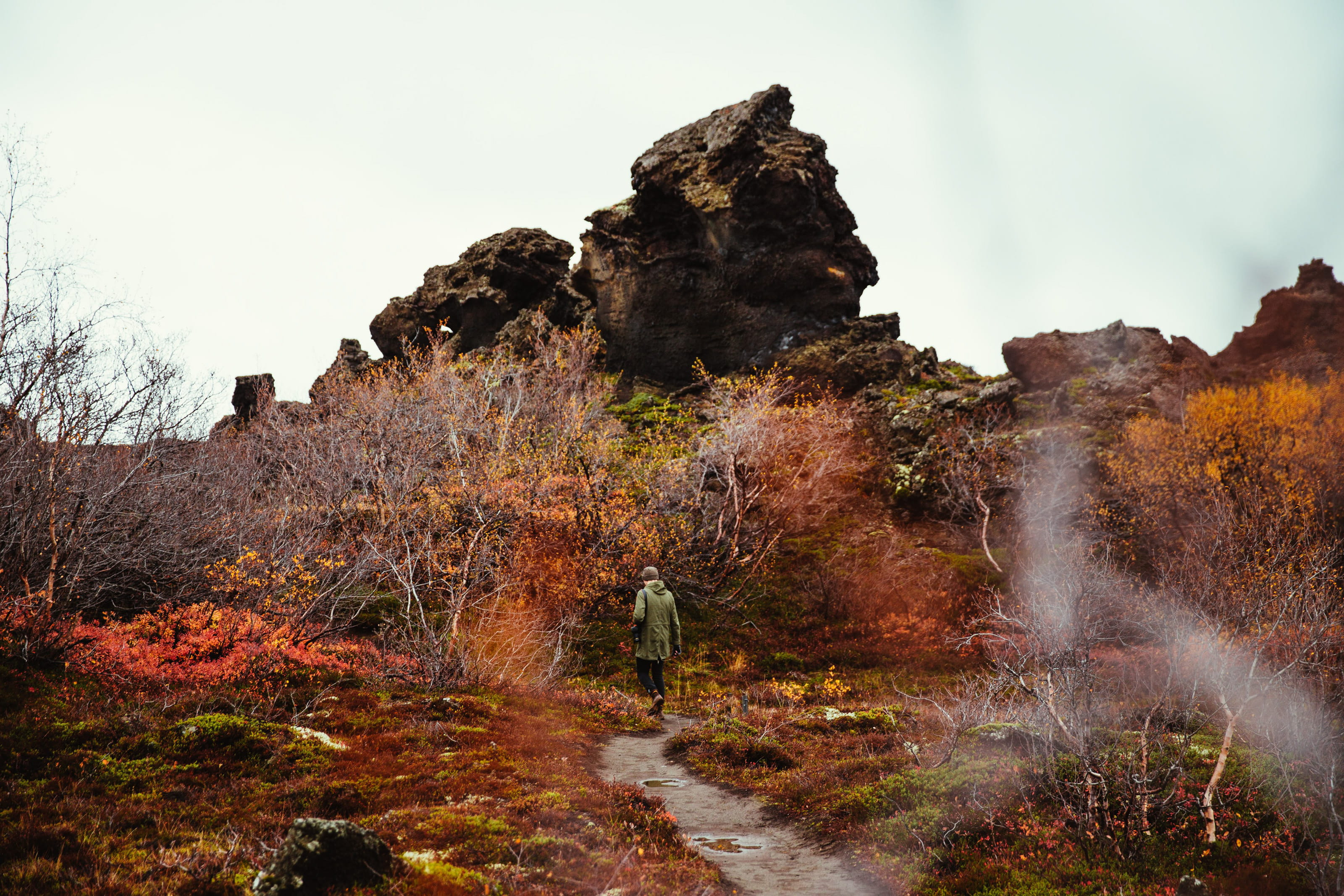 outdoor, leaves, autumn, colorful, lifestyle, healthy, park, tranquil scene, physical geography, exploration, tranquil, hiker, mountain, solid, foliage, HD Wallpaper