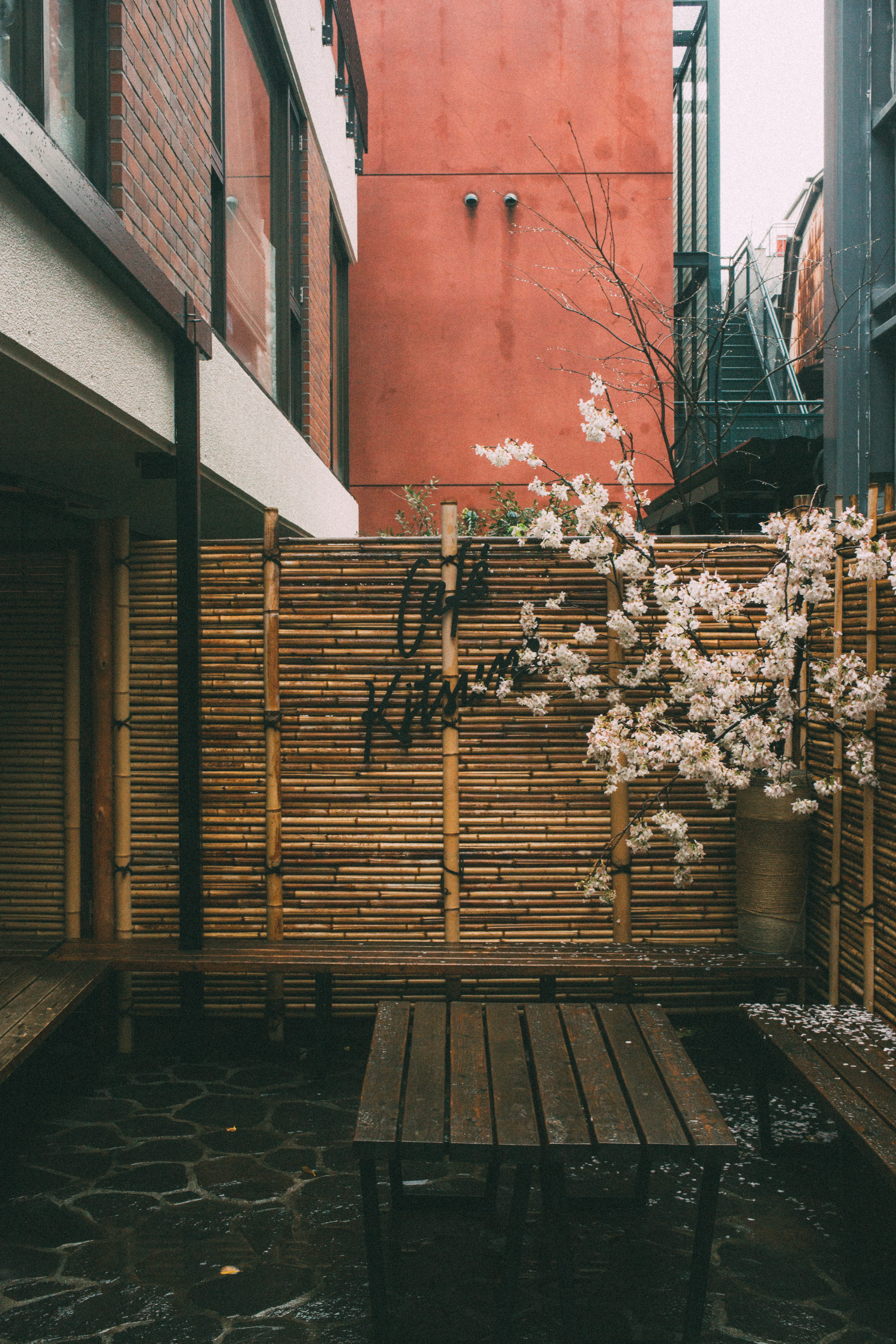 minato-ku, kitsuné, city, 5K, apartment, outdoors, residential district, house, no people, building, japan, brick, nature, built structure, window, building exterior, Phone HD Wallpaper