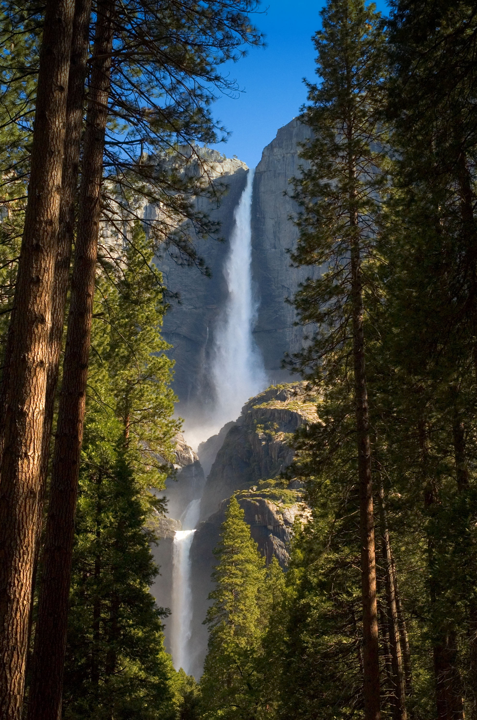 tree, river, BRAVO, 2K, trees, waterfall, Yosemite Falls, beside, daytime, yosemite National Park, landscape, nik, usa, Upper, nature, mountain, water, Phone HD Wallpaper