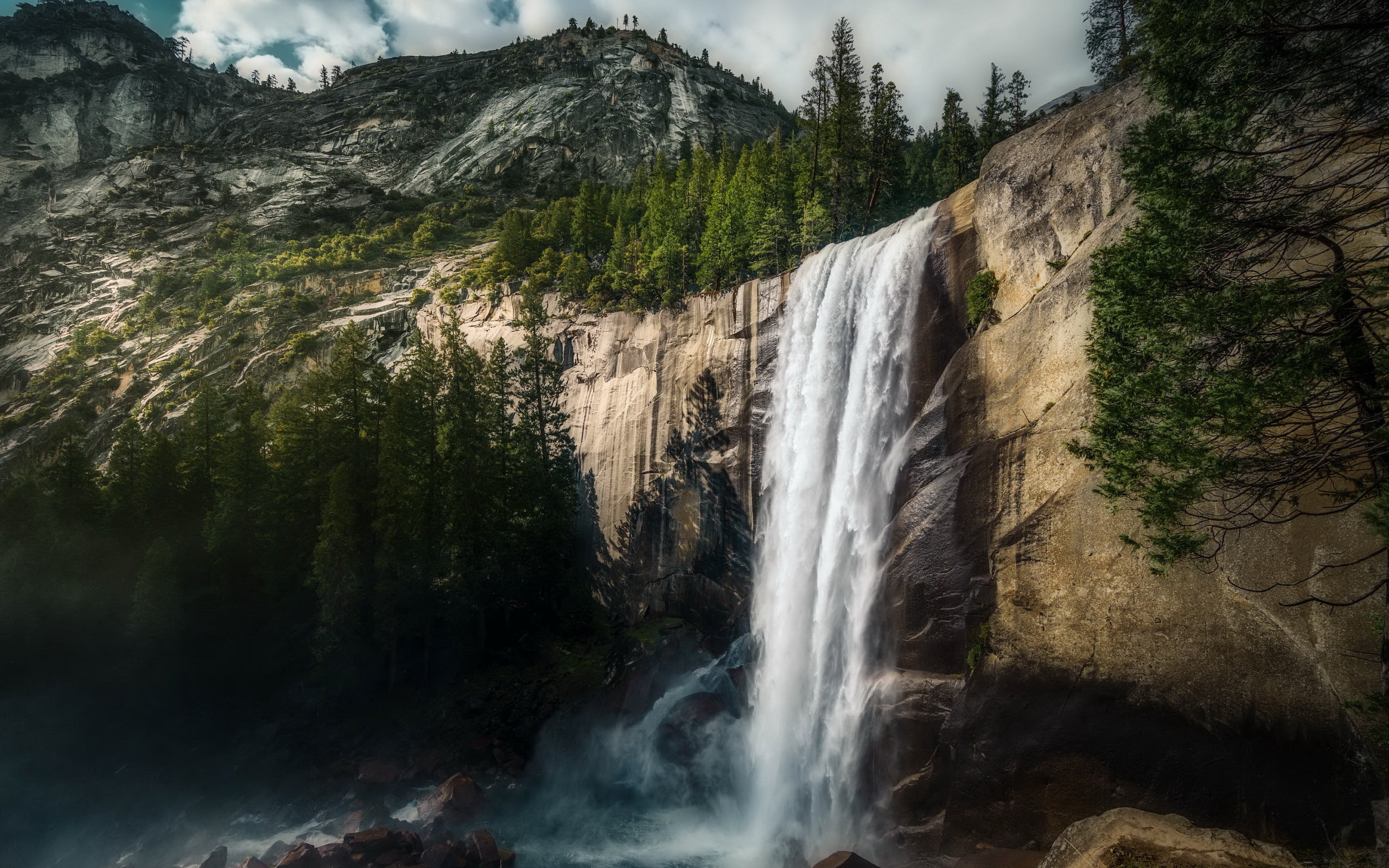 flowing, tree, power, plant, forest, blurred motion, non-urban scene, motion, power in nature, outdoors, land, scenics - nature, environment, falling water, HD Wallpaper