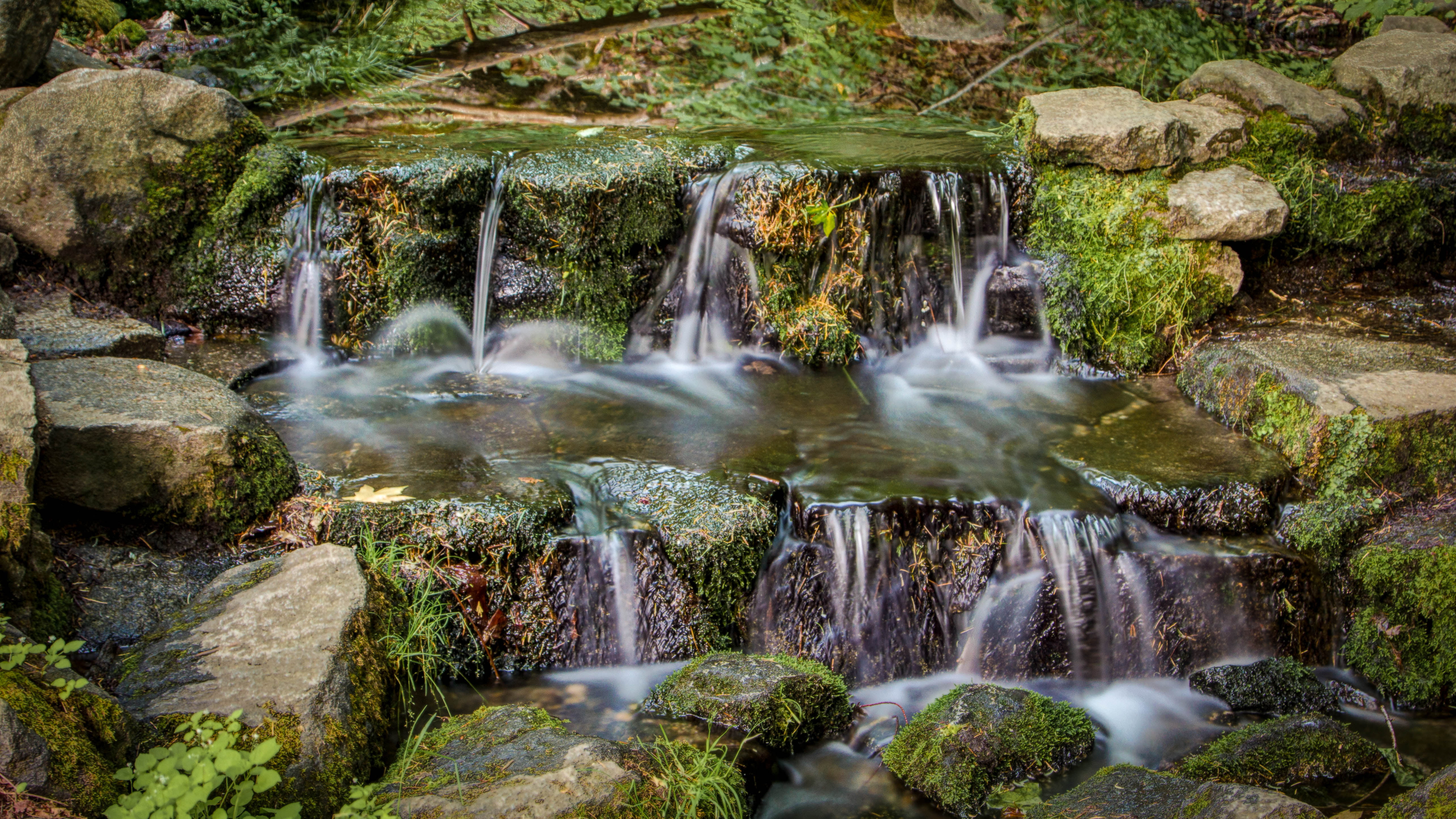 waterfall, nature, formation, falling, running water, river, brown stone, Fern, outdoors, rock - Object, stone, trickle, USA, freshness, California spring, HD Wallpaper