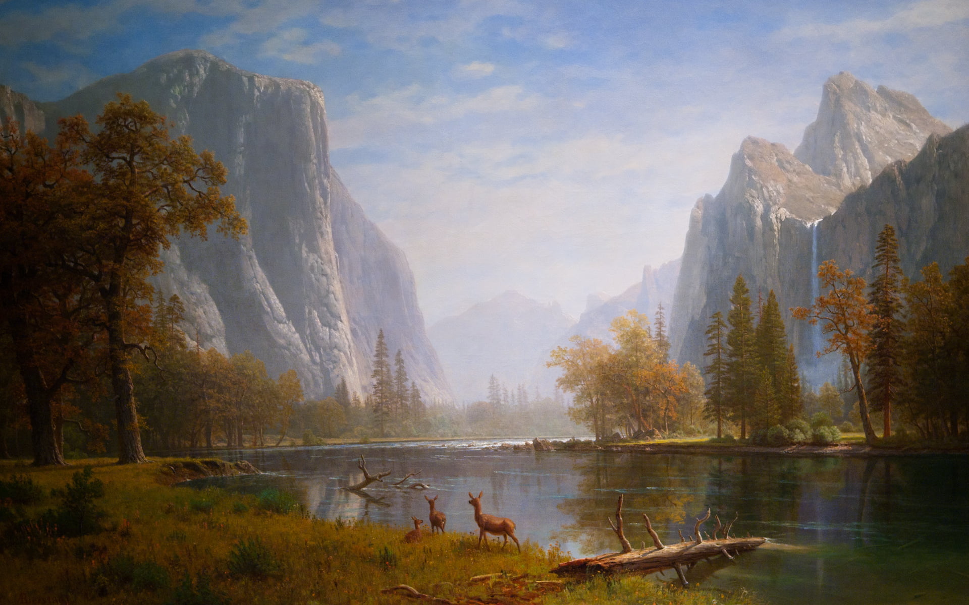 landscape, day, 1080P, outdoors, plant, mountain, yosemite Falls, travel Destinations, non-Urban Scene, mountain Peak, lake, beauty In Nature, tree, rock - Object, HD Wallpaper