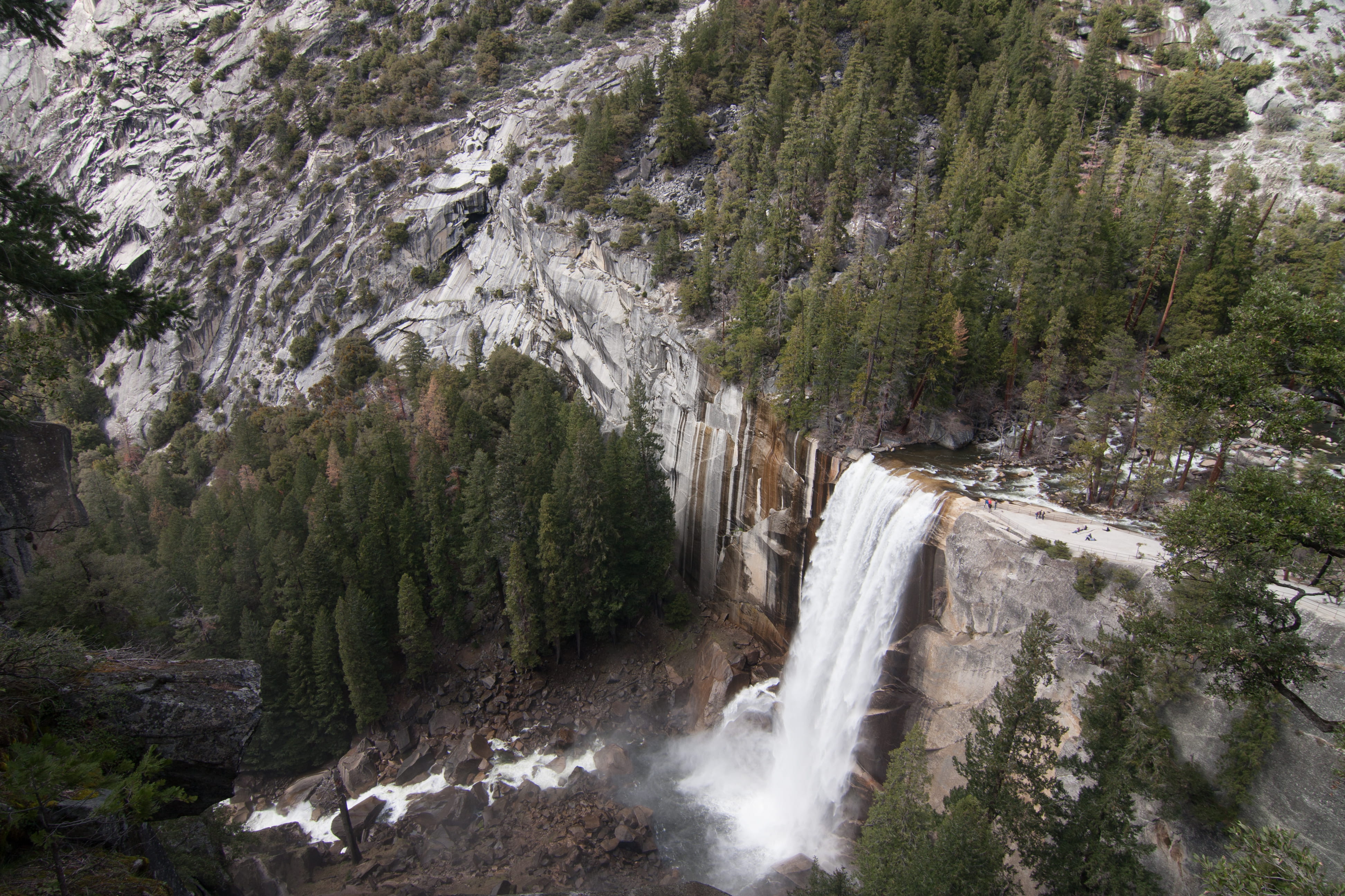 trees, formation, flowing water, aerial view, power in nature, near, tree, motion, from above, growth, pine tree, outdoors, environment, water, vernal falls, HD Wallpaper