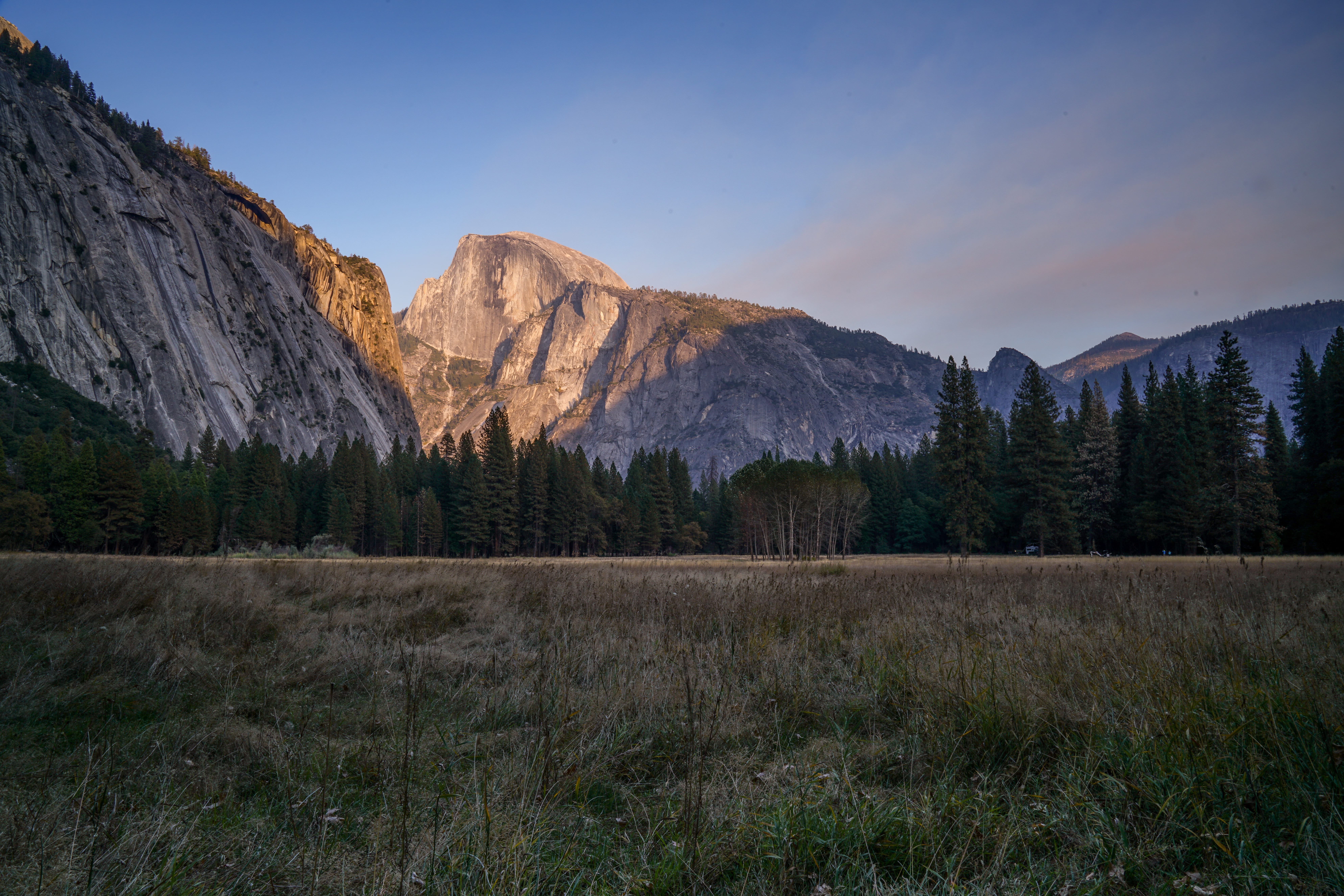 environment, solid, grass, land, live, national park, woods, trees, life, nature, landscape, tree, outdoors, mountain peak, great outdoors, united states, HD Wallpaper