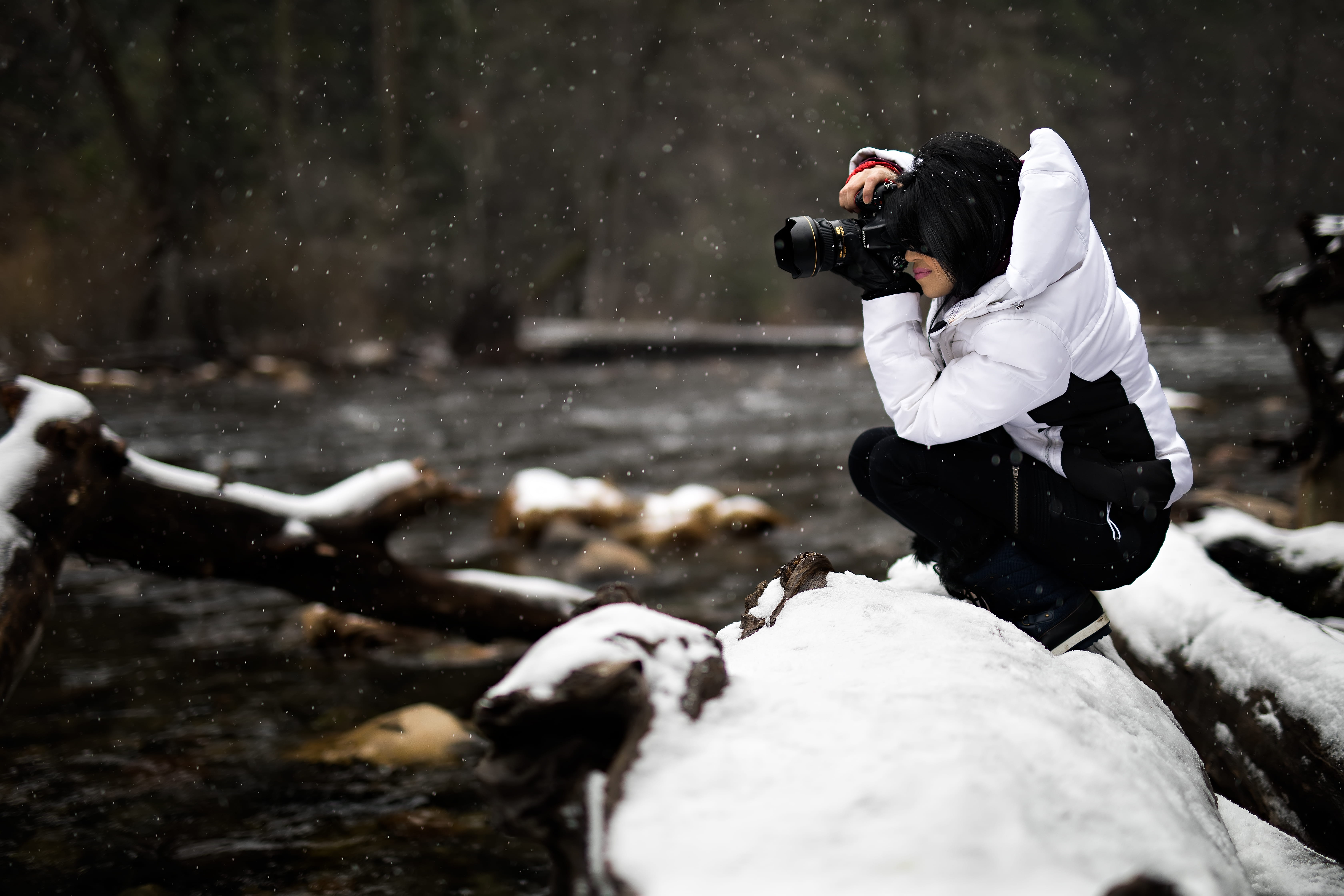 digital camera, 5K, photography, day, animal, one person, photographing, surface, electronics, holding, photography themes, human, land, extreme weather, HD Wallpaper