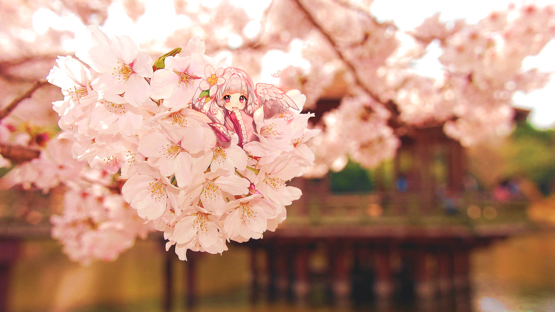 cherry blossom, 1080P, Japanese clothes, pink hair, anime girls, HD Wallpaper