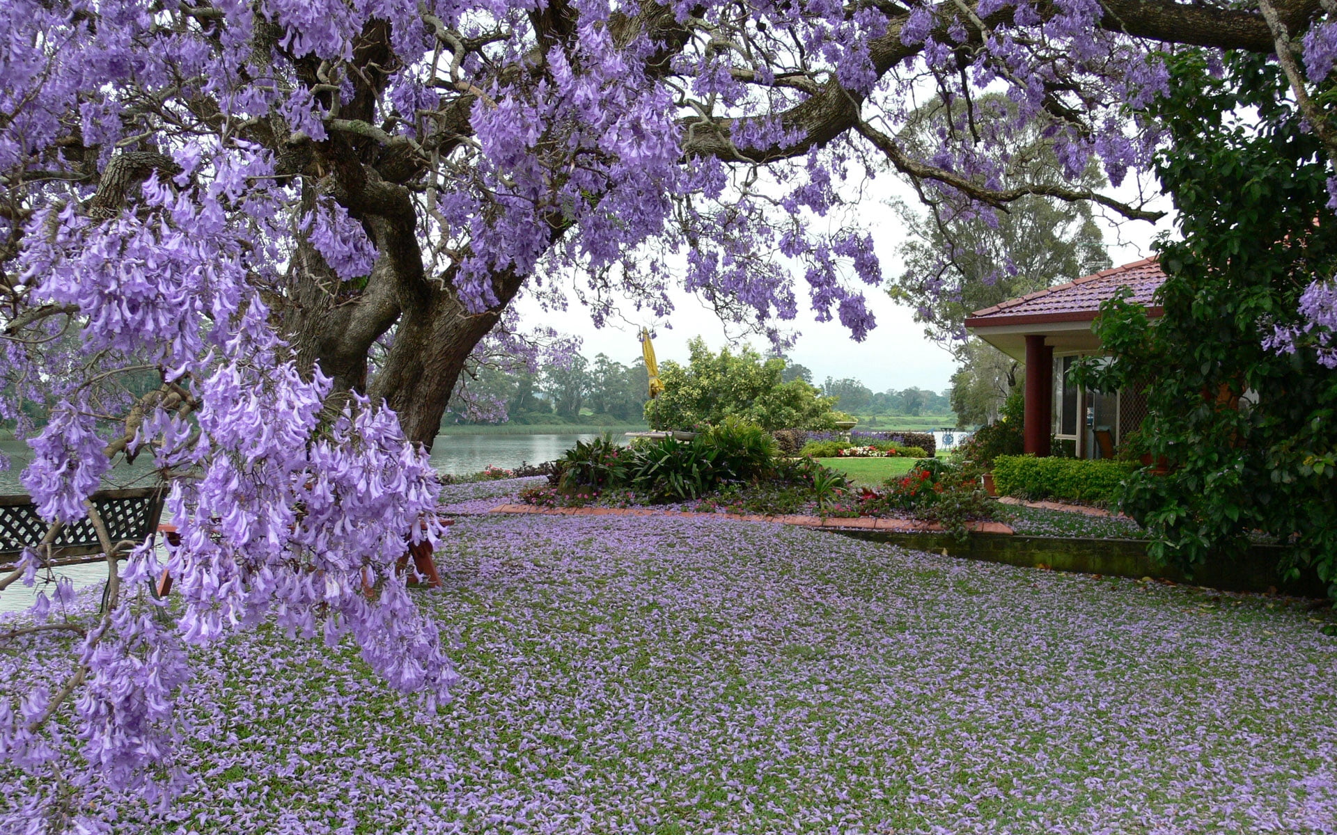 color Image, vulnerability, park, cherry tree, sky, landscaped, ornamental Garden, building Exterior, no People, front or Back Yard, season, day, flowerbed, HD Wallpaper