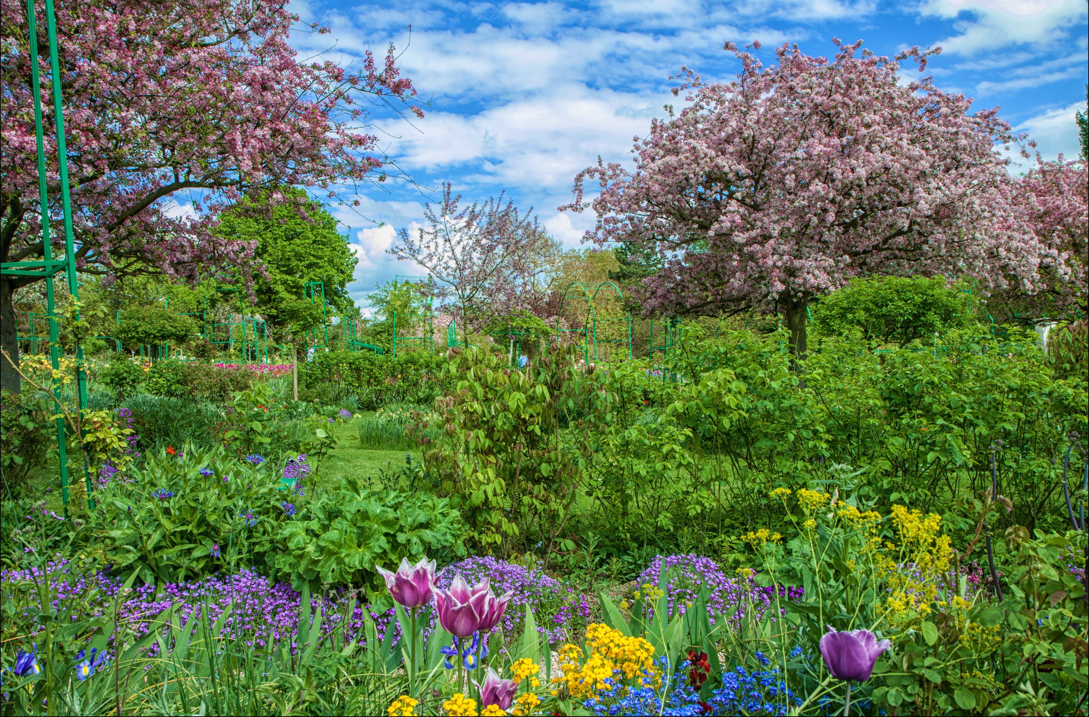multi Colored, pink Color, bush, season, flowering plant, hdr, petal, green Color, branch, plants, day, garden, park - Man Made Space, landscape, growth, HD Wallpaper