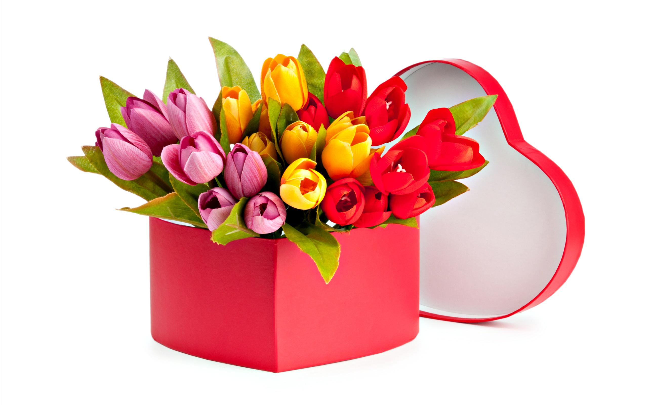 spring time, yellow, beautiful, lovely, bouquet, romantic, tulips, 2K, red tulips, flowers, yellow tulips, HD Wallpaper