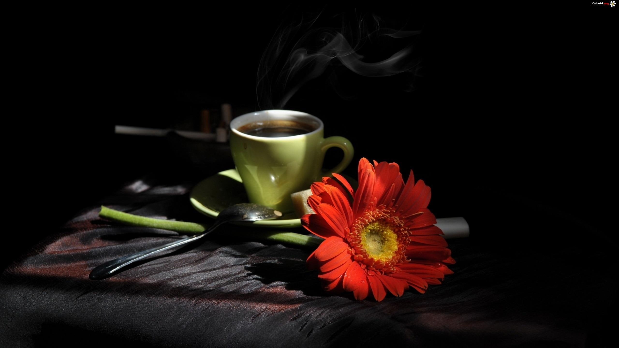 green, flower, gerbera, nature and landscapes, 2K, mug, flowers, coffee, coffee time, time, red, still life, HD Wallpaper