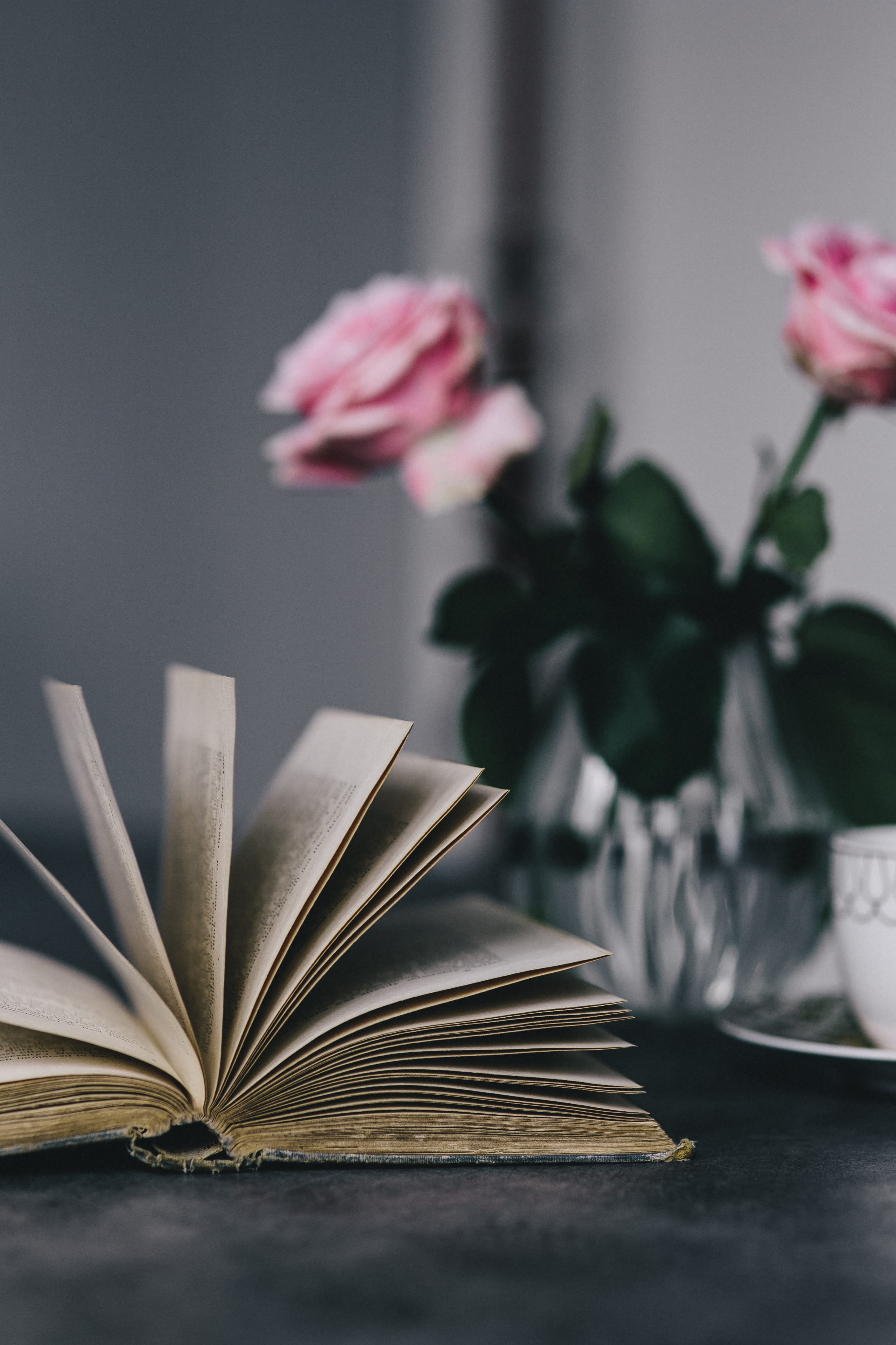 open, still life, beauty in nature, indoors, relax, library, flower, flower head, plant, paper, book, resting, selective focus, essentials, time, roseses, Phone HD Wallpaper