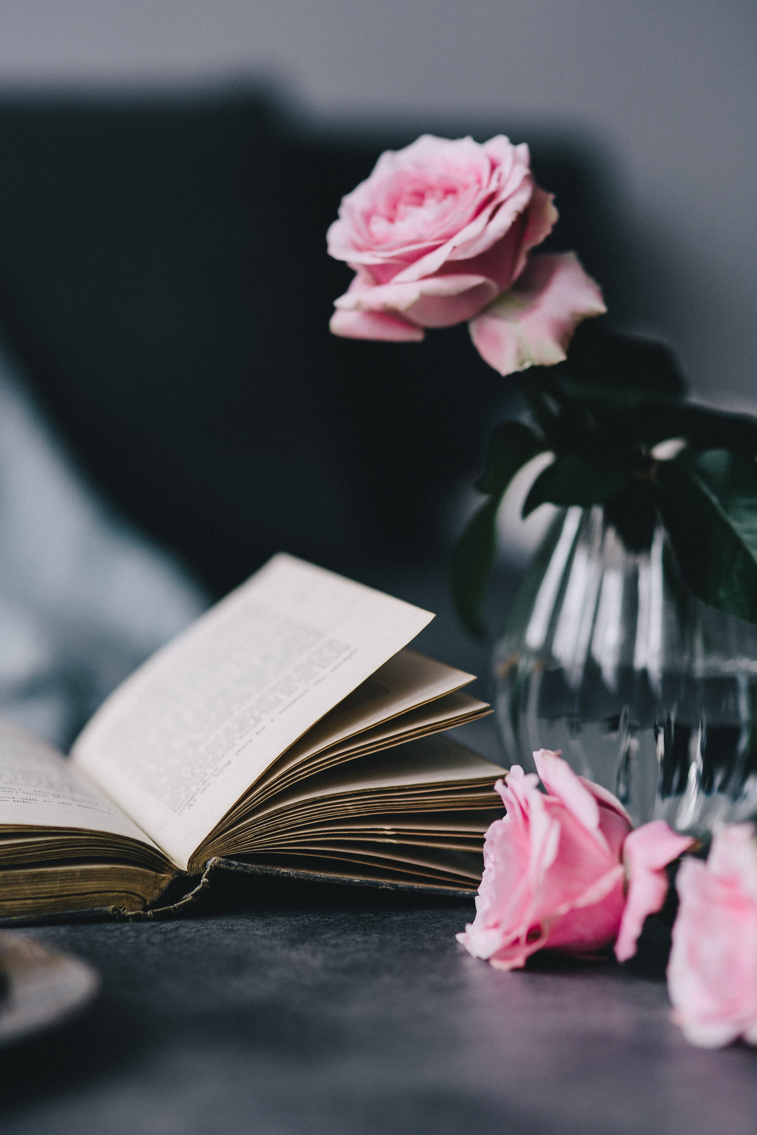 flower arrangement, plant, relax, no people, lovely, paper, rose - flower, flower head, coffee, interior, essentials, 4K, beauty in nature, time, freshness, Phone HD Wallpaper