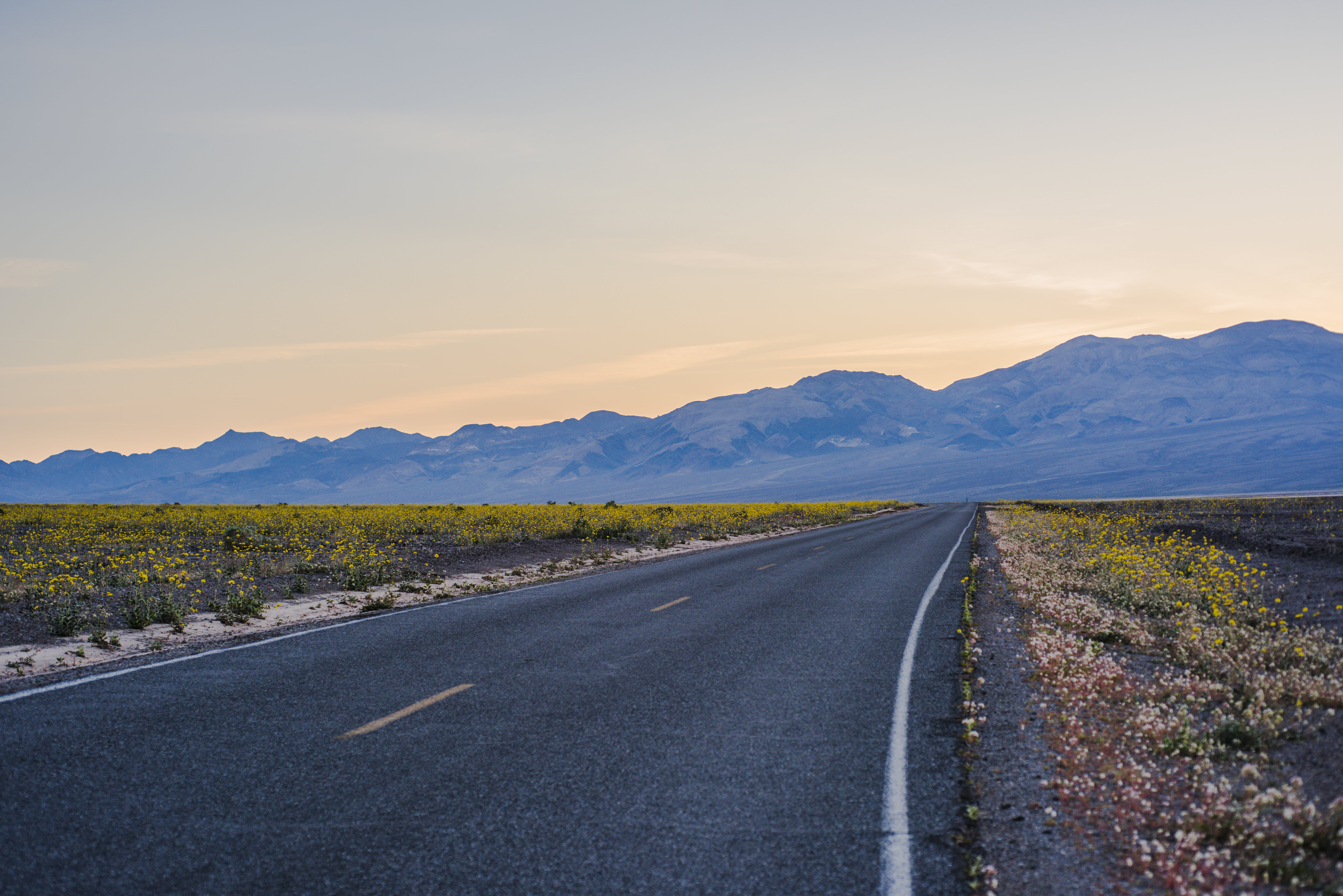 sunset  mountains, photography, road, landscape, marc cooper, wildflowers, travel, hdr, Road to Glory, nikon  d810, scenery, gray, near, desert, yellow, HD Wallpaper