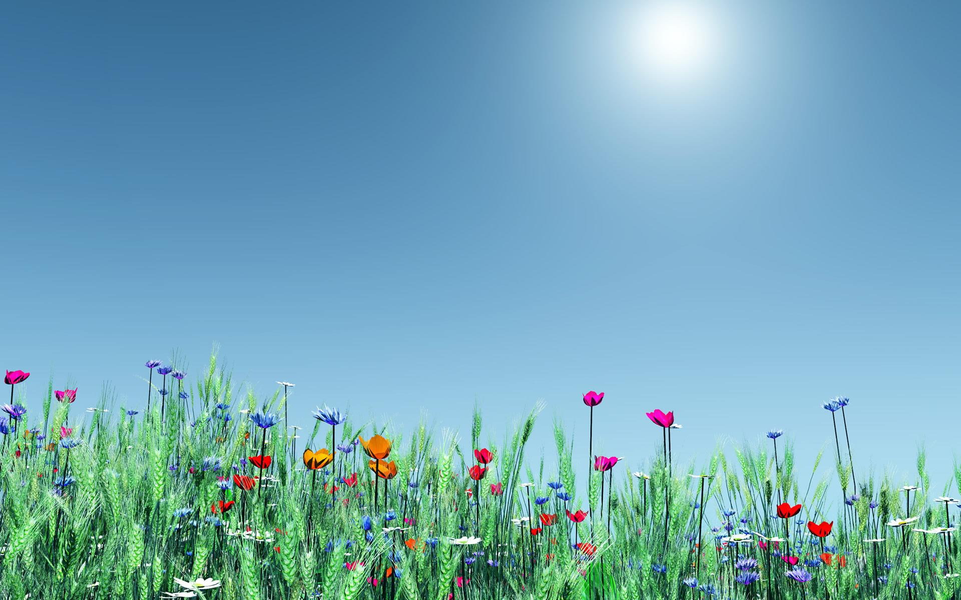spring, nature, time, 1080P, assorted, flowers, 3d and abstract, HD Wallpaper