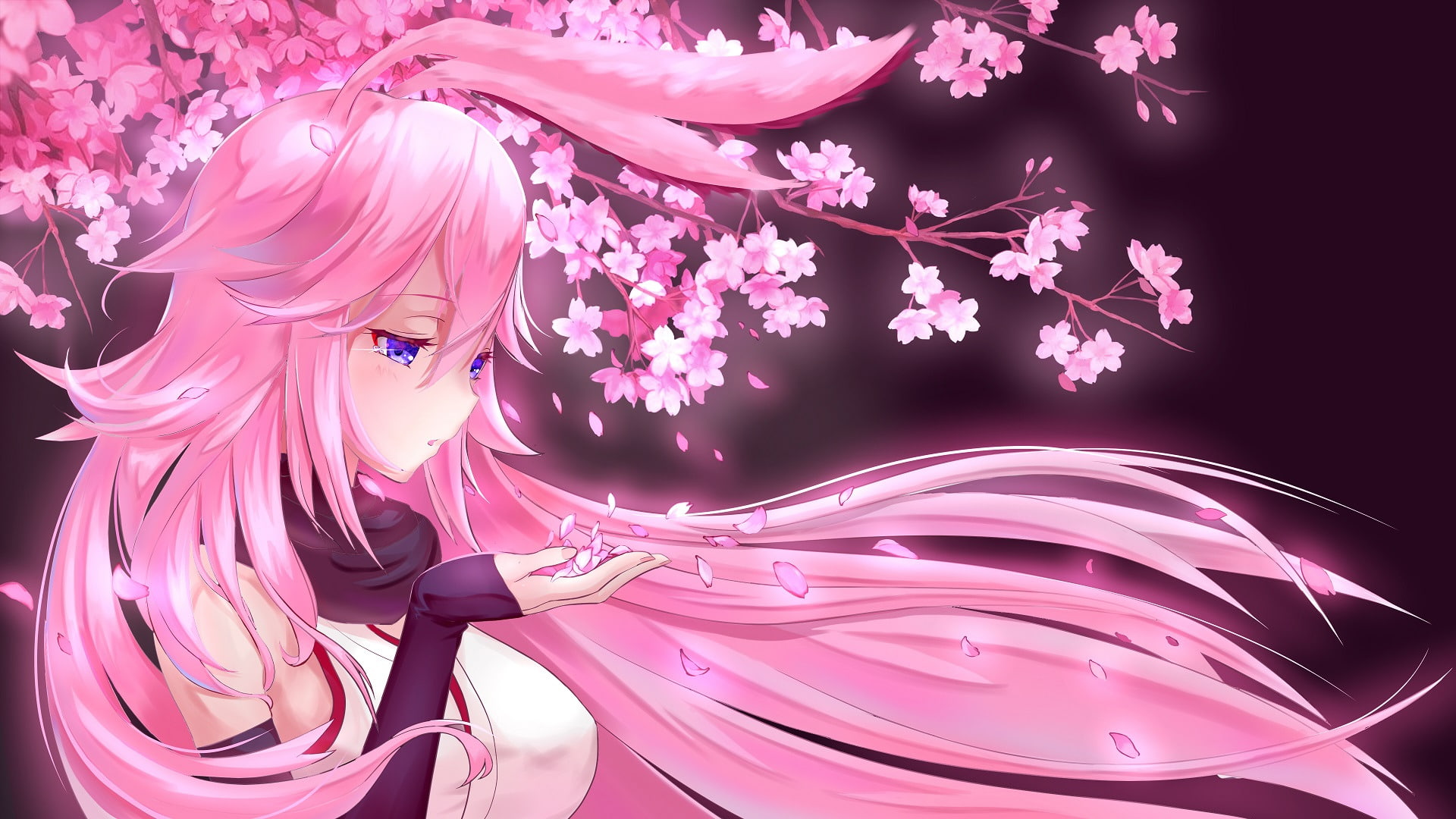 Anime, Benghuai Xueyuan, 1080P, Yae Sakura (Benghuai Xueyuan), HD Wallpaper