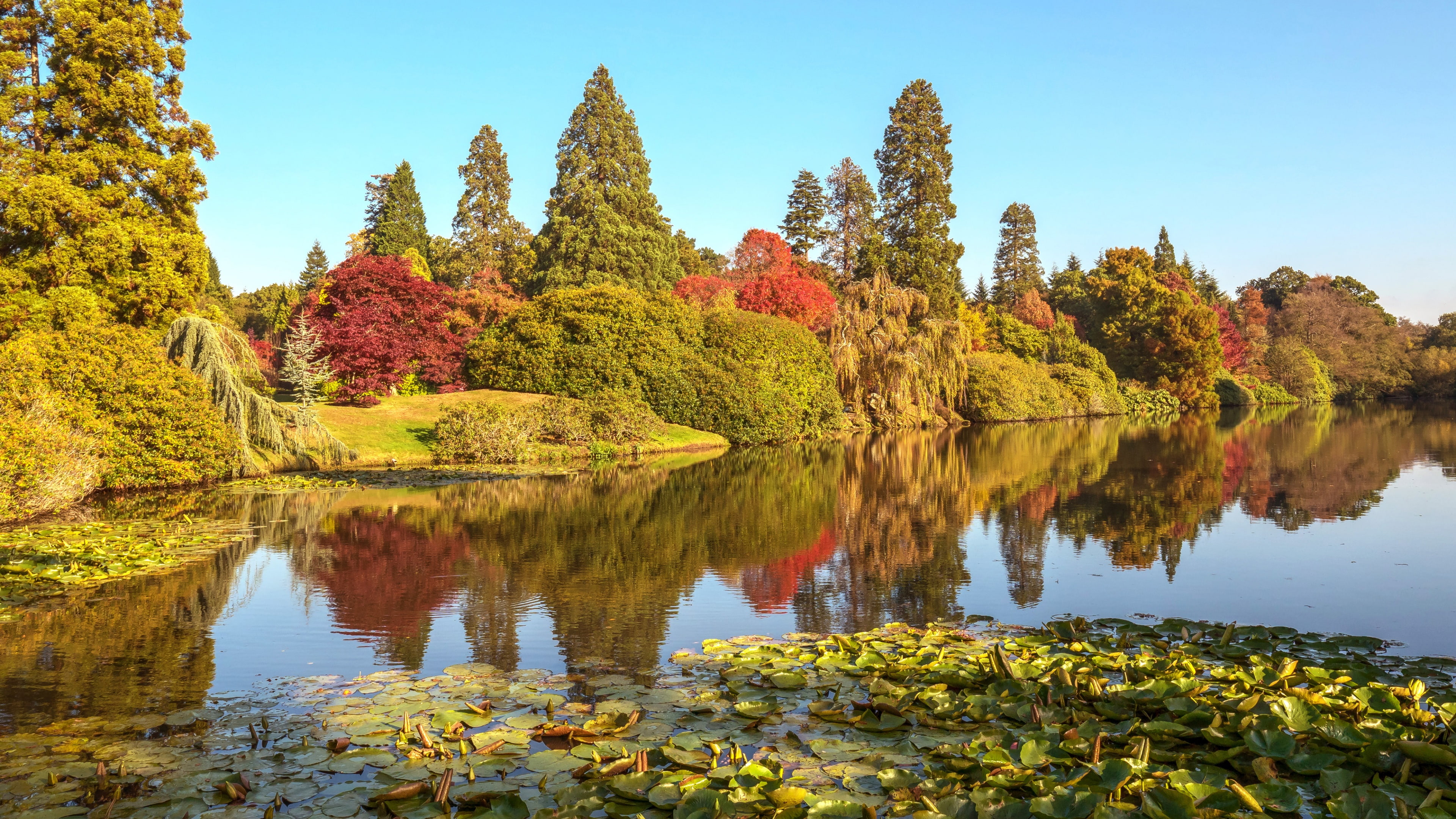 england, reflection, united kingdom, uckfield, sheffield park and garden, autumn, autumn scenery, park, sheffield park, 4K, pond, autumn landscape, autumn, HD Wallpaper