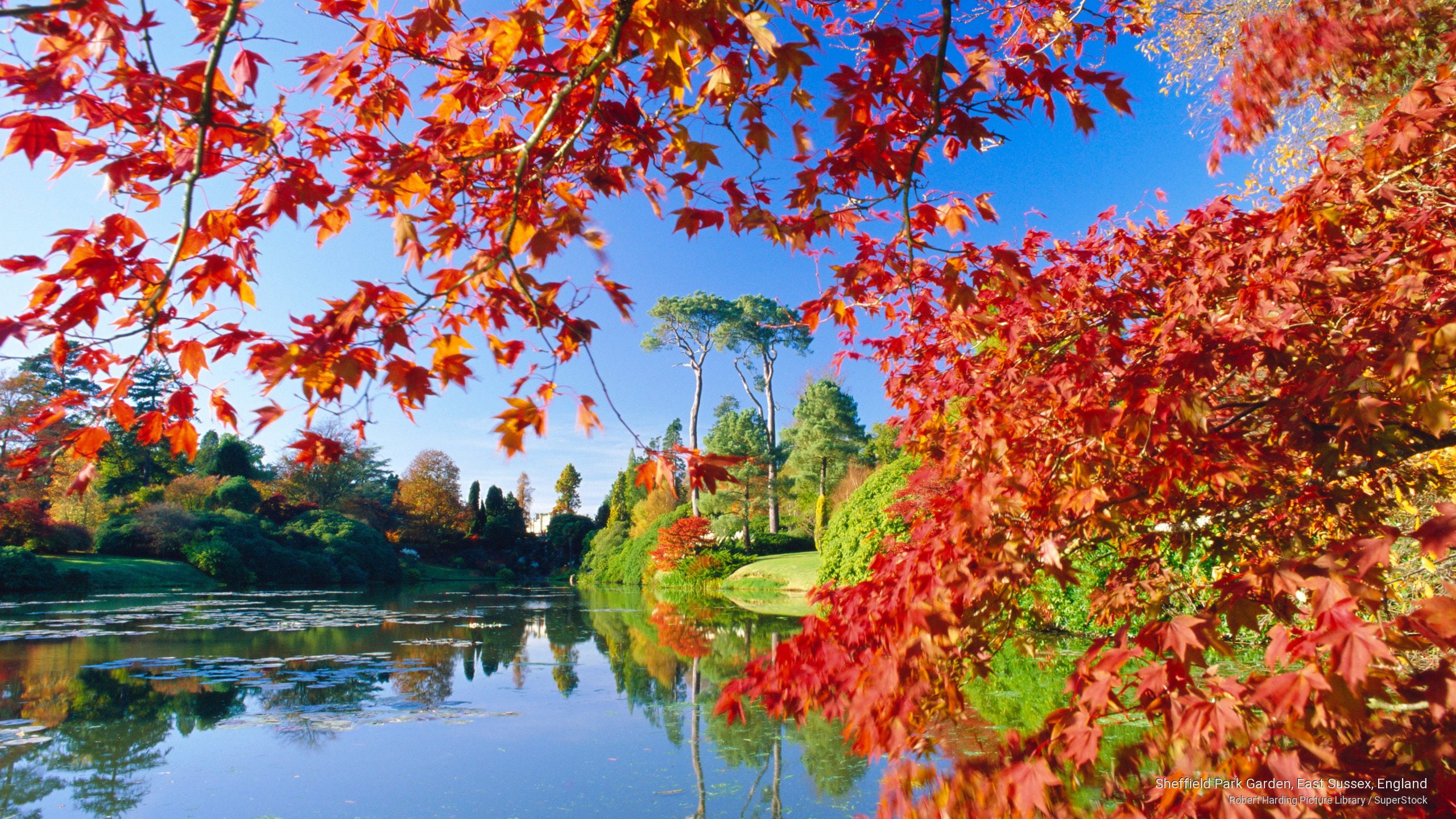 england, sheffield, park, garden, 2K, Fall, sussex, east, HD Wallpaper