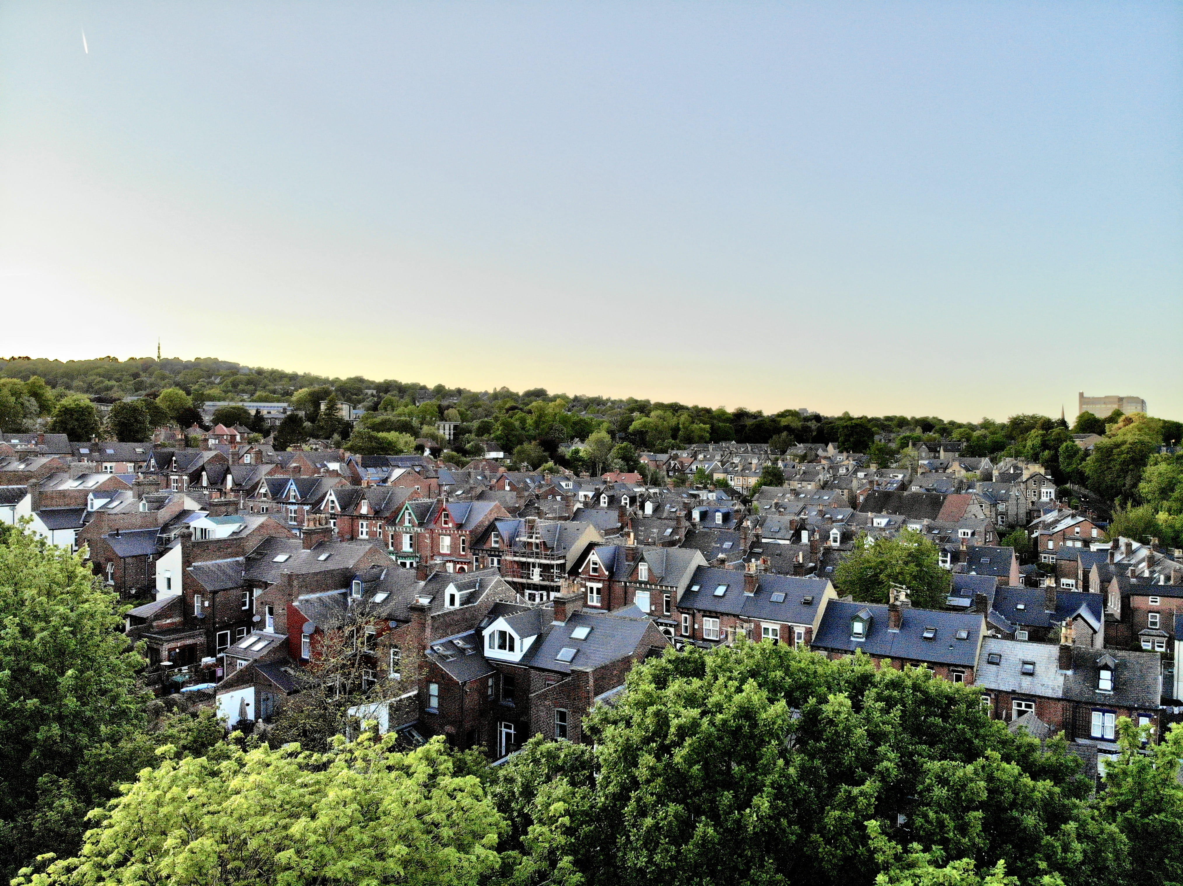 tree, high angle view, south yorkshire, sunset, hallamshire, sheffield, city, townscape, town, beauty, nature, crookes, england, architecture, outdoors, HD Wallpaper