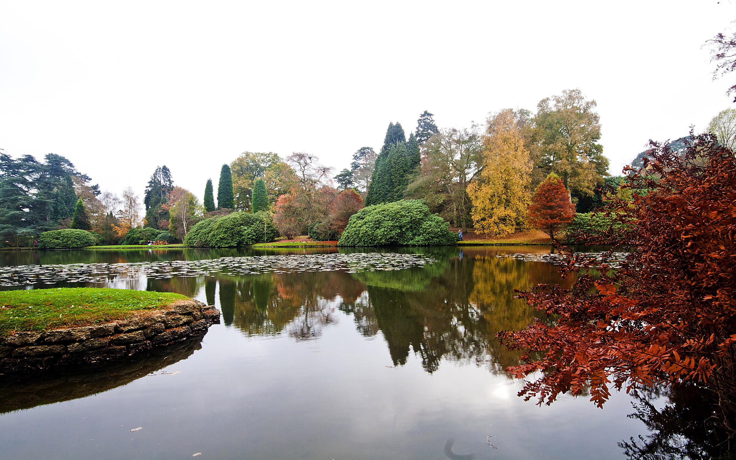 garden, parks, 2K, park, pond, scenery, autumn, sheffield, united, trees, nature, kingdom, HD Wallpaper