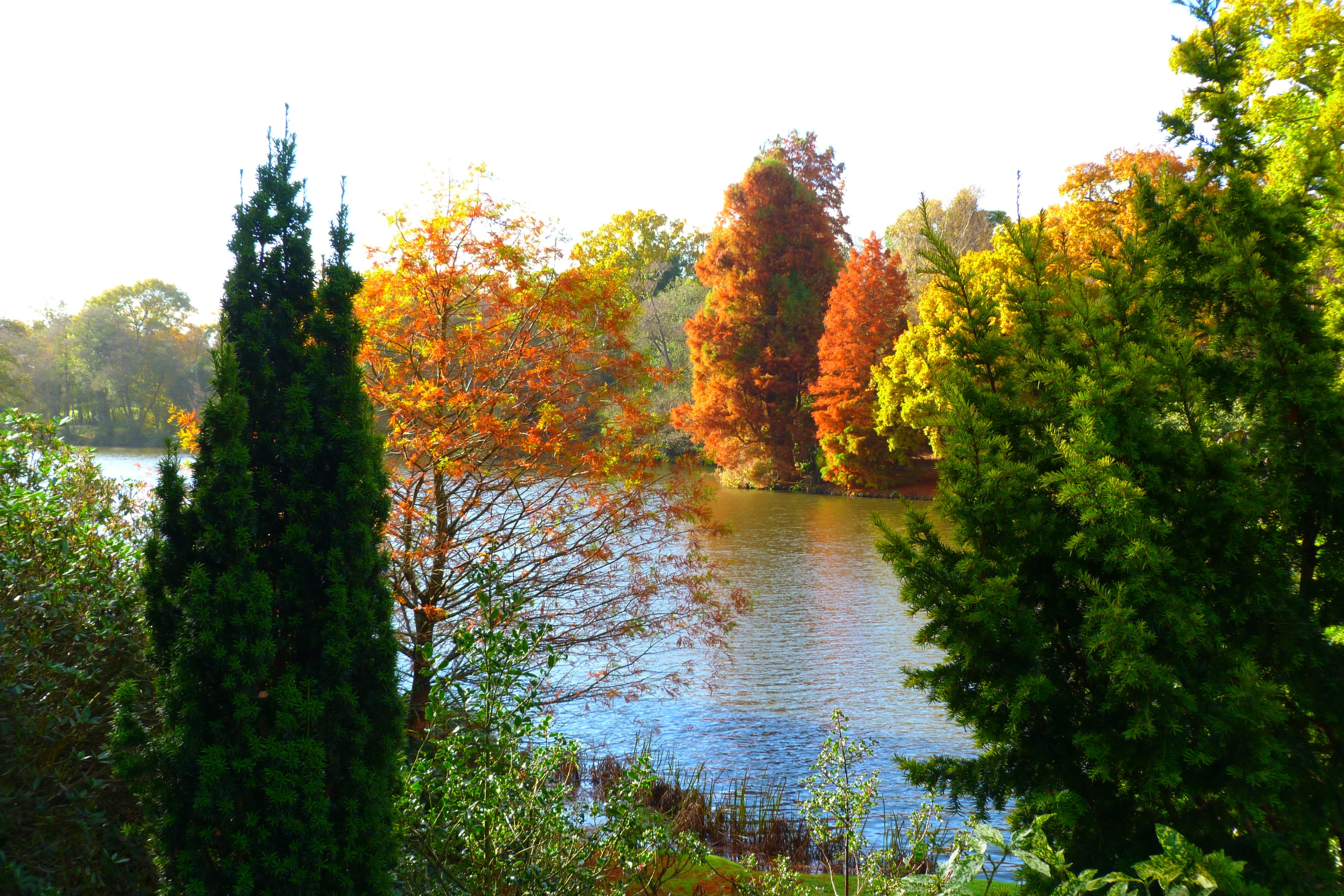 change, non-urban scene, color, 4K, water, lake, scenics - nature, sky, autumn, tranquil scene, nature, landscape, plant, tree, idyllic, sheffield park, HD Wallpaper
