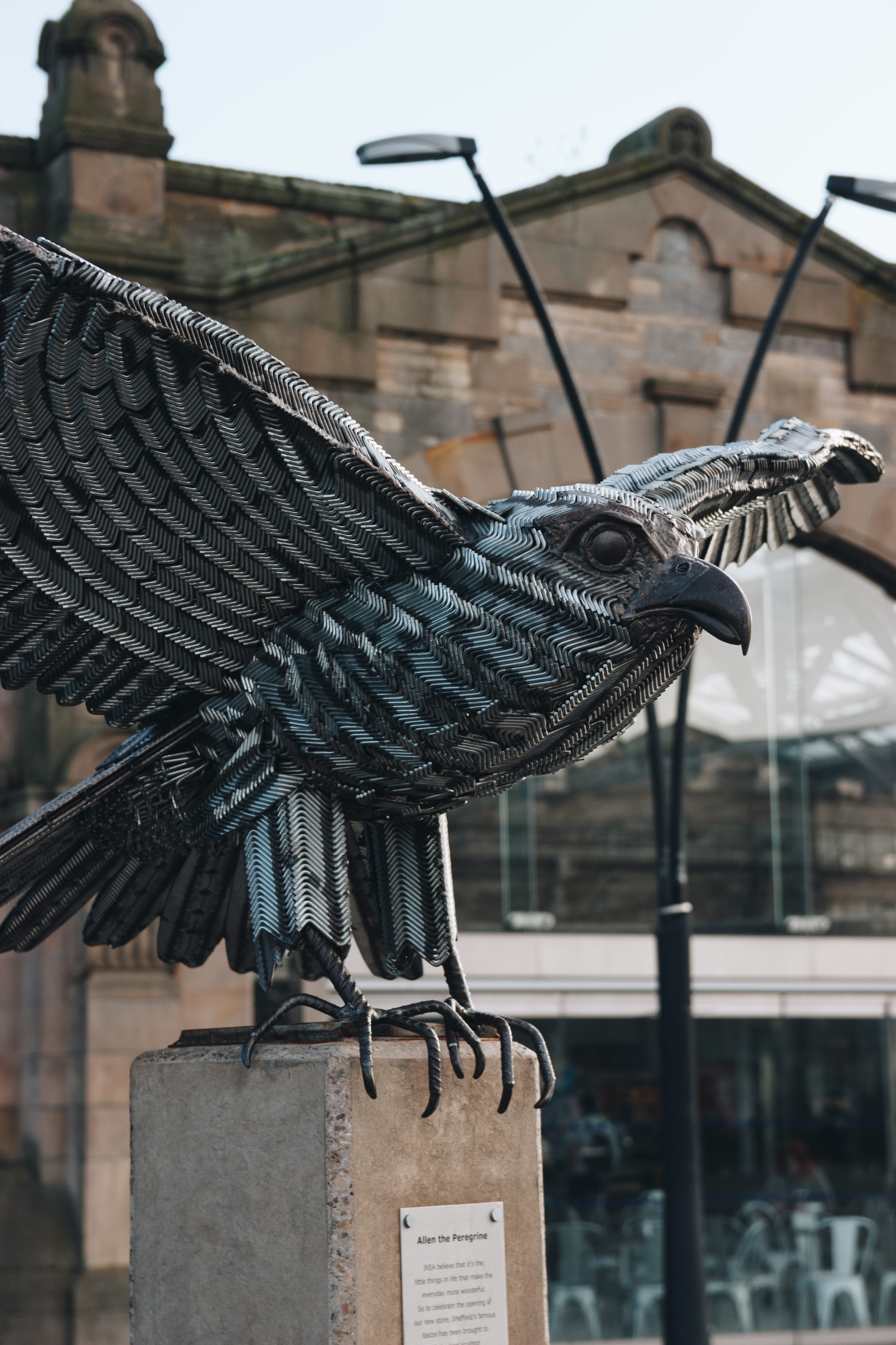 architecture, nature, 5K, art and craft, bird, hanging, roof tile, sheffield, united kingdom, focus on foreground, close-up, great, outdoors, britain, Phone HD Wallpaper