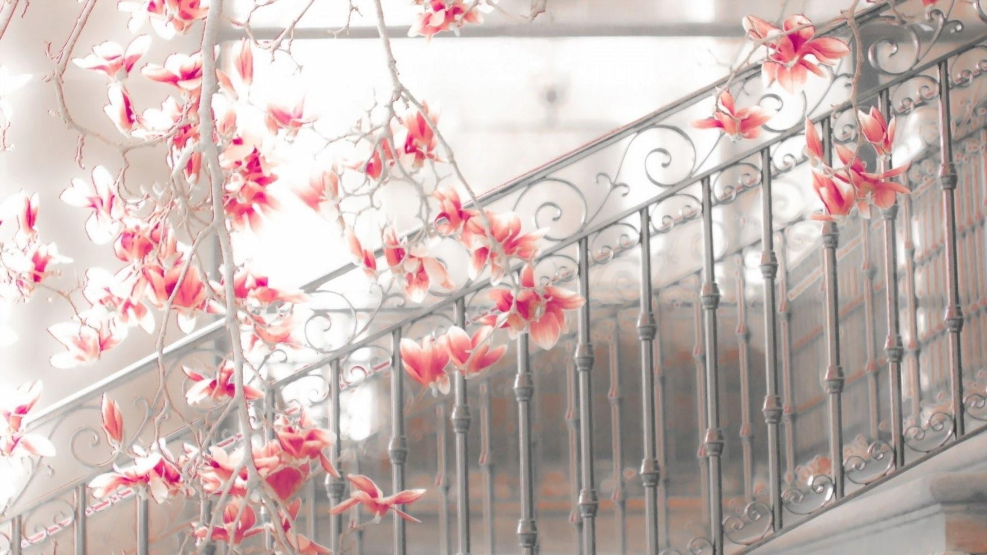 stairs, magnolia, 1080P, fences, spring, HD Wallpaper