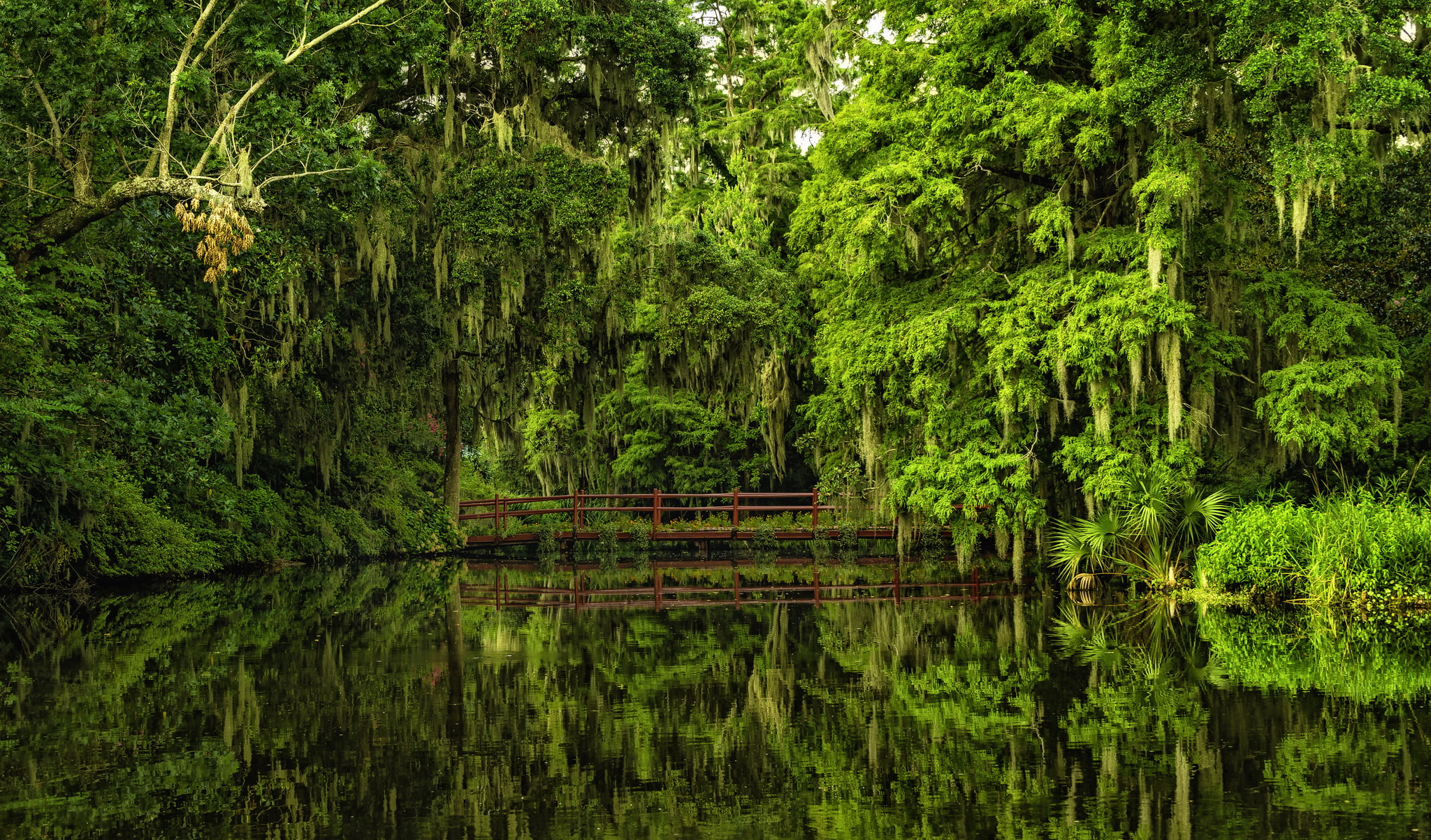 non-urban scene, tranquility, plant, foliage, land, beauty in nature, waterfront, no people, Gardens magnolias, trees, bridge, reflection, body, outdoors, HD Wallpaper