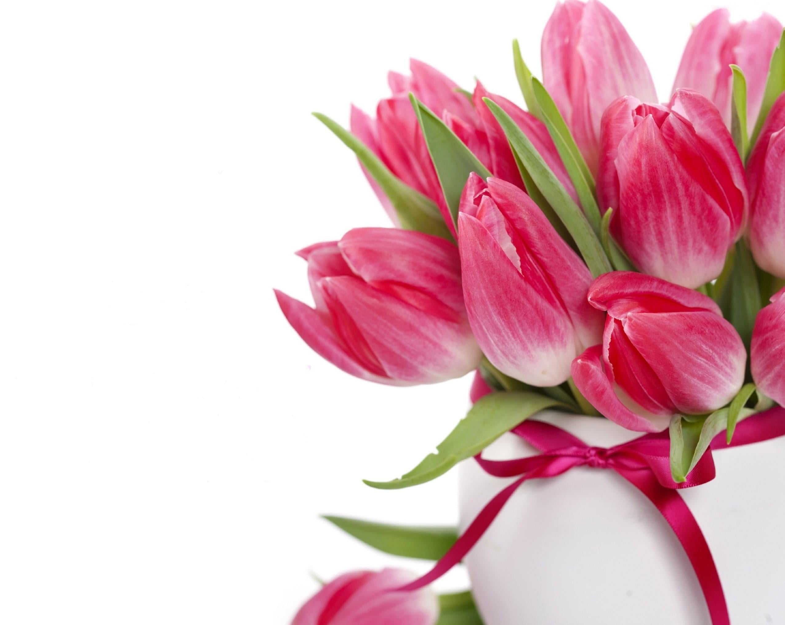gift, flower arrangement, purple, flowering plant, plant part, vase, copy space, bow, backgrounds, flower buds, white, inflorescence, freshness, green Color, HD Wallpaper