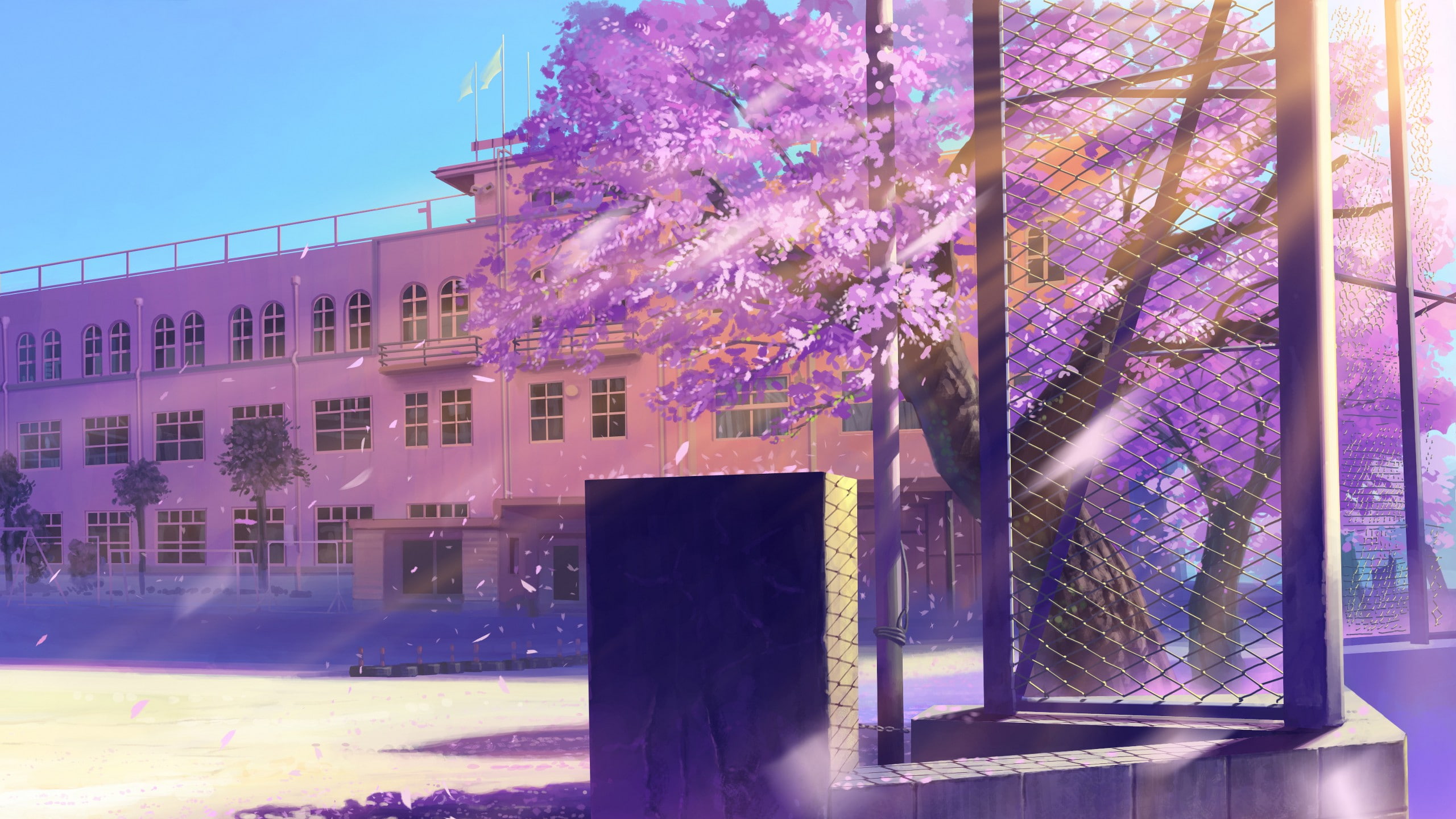 2K, artwork, cherry blossom, anime, school, HD Wallpaper