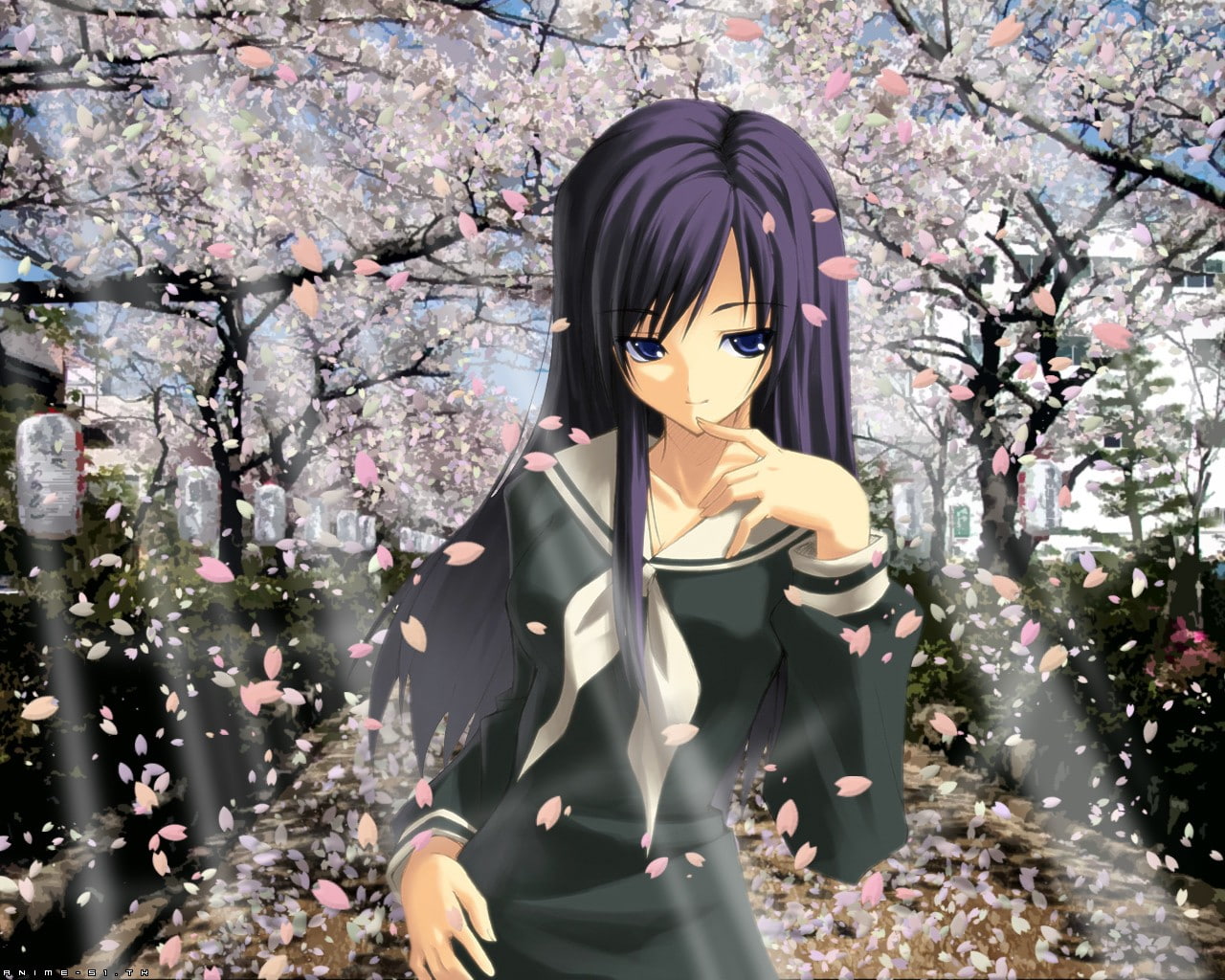 720P, leisure activity, young adult, obscured face, day, blossom, anime girls, front view, flowering plant, festival, growth, lifestyles, tree, waist up, HD Wallpaper