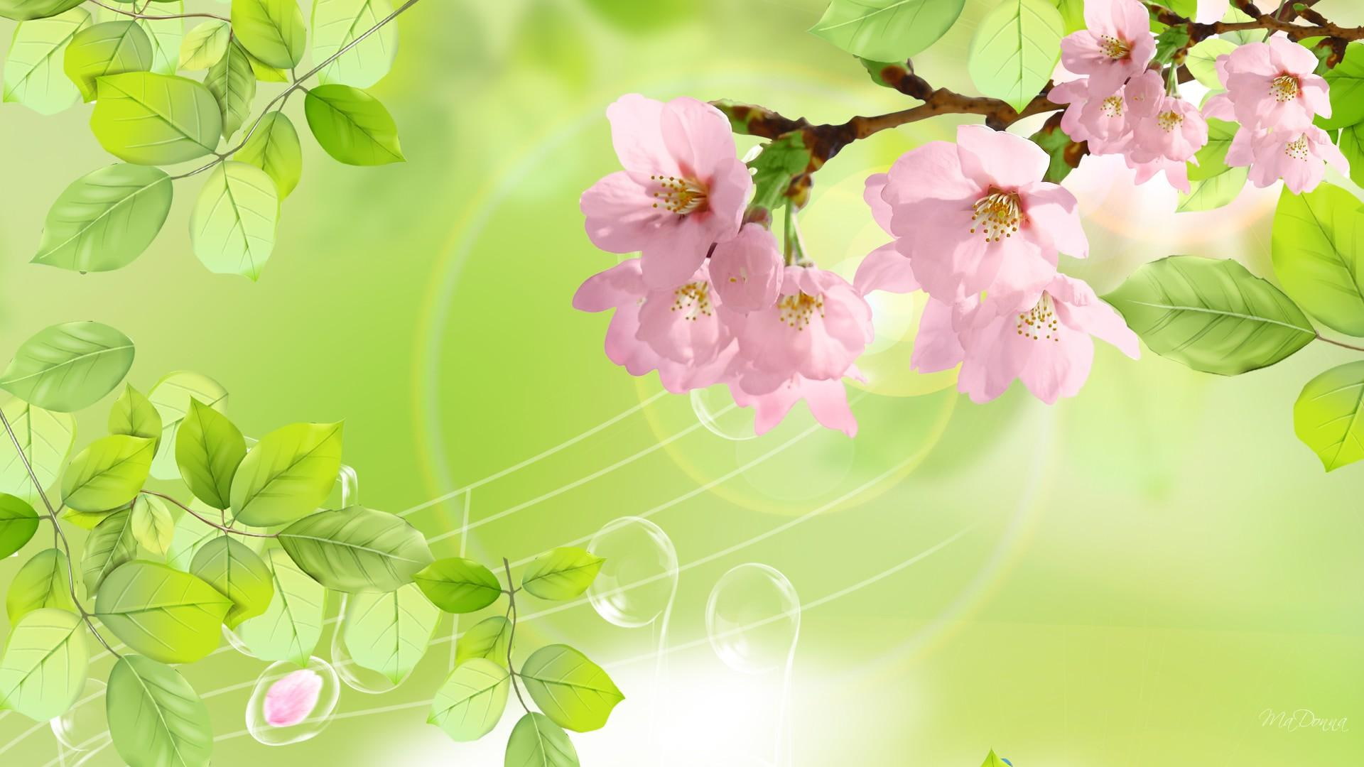 3d and abstract, 1080P, sakura, leaves, fresh, green, spring, soft, cherry blossoms, HD Wallpaper