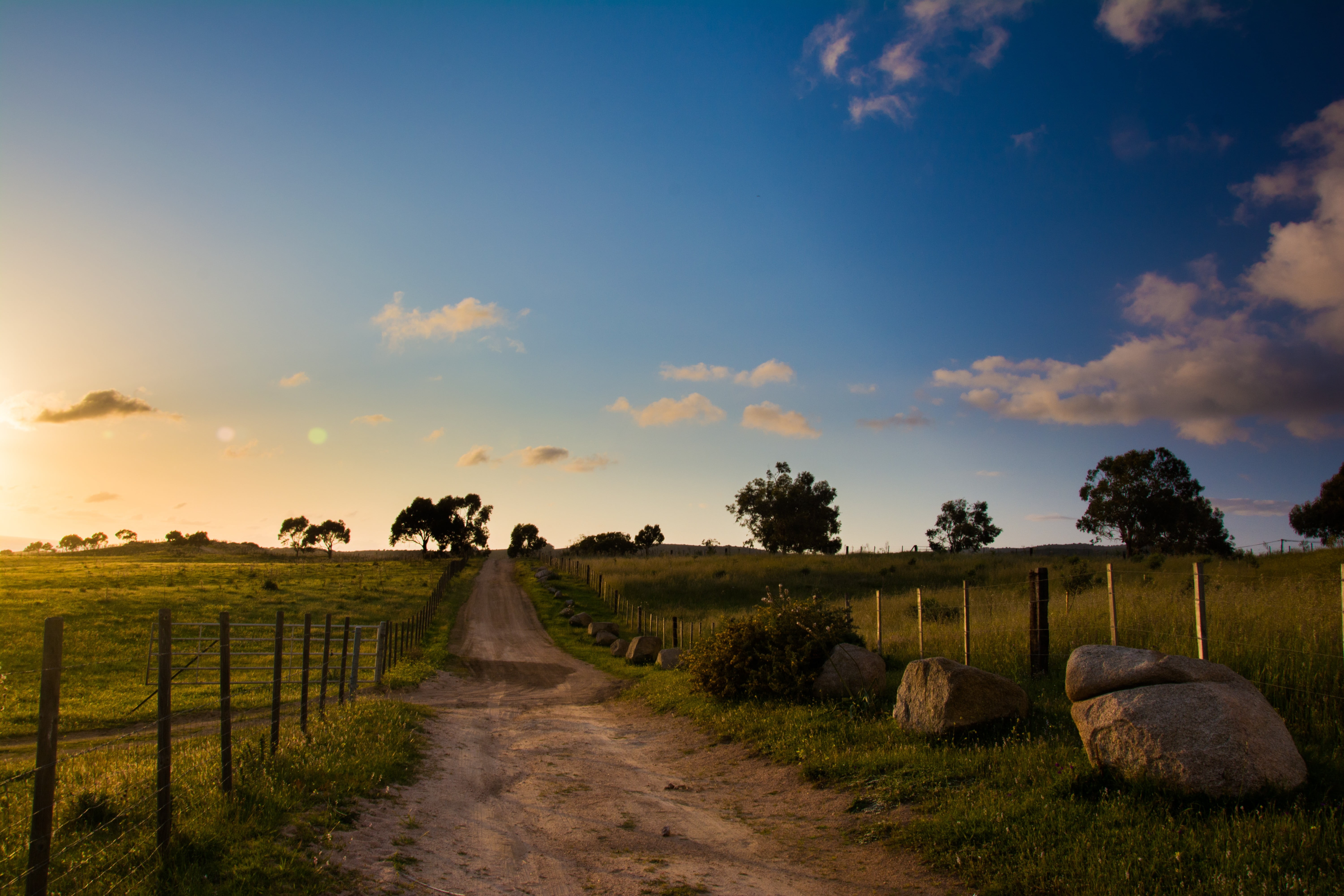 direction, land, dirt, diminishing perspective, sunset, outdoors, grass, beauty in nature, cloud - sky, blue, nature, growth, the way forward, scenics - nature, HD Wallpaper