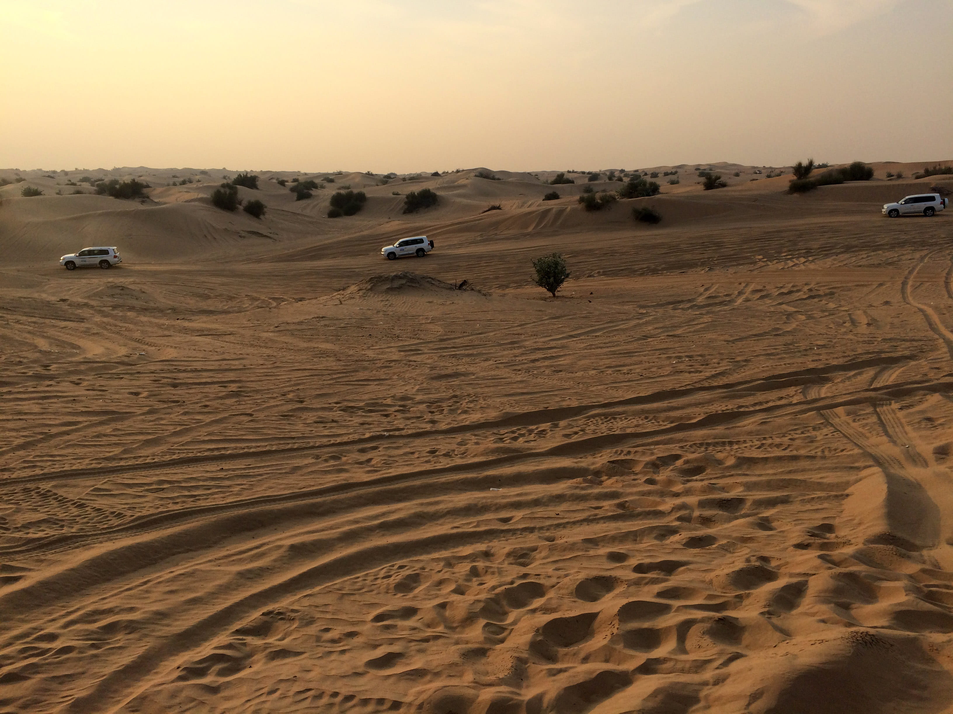 travel, travel destinations, deserts, sand Dune, off-road, desert, sunset, dry, remote, beauty in nature, tranquility, arab, landscape, united, climate, HD Wallpaper