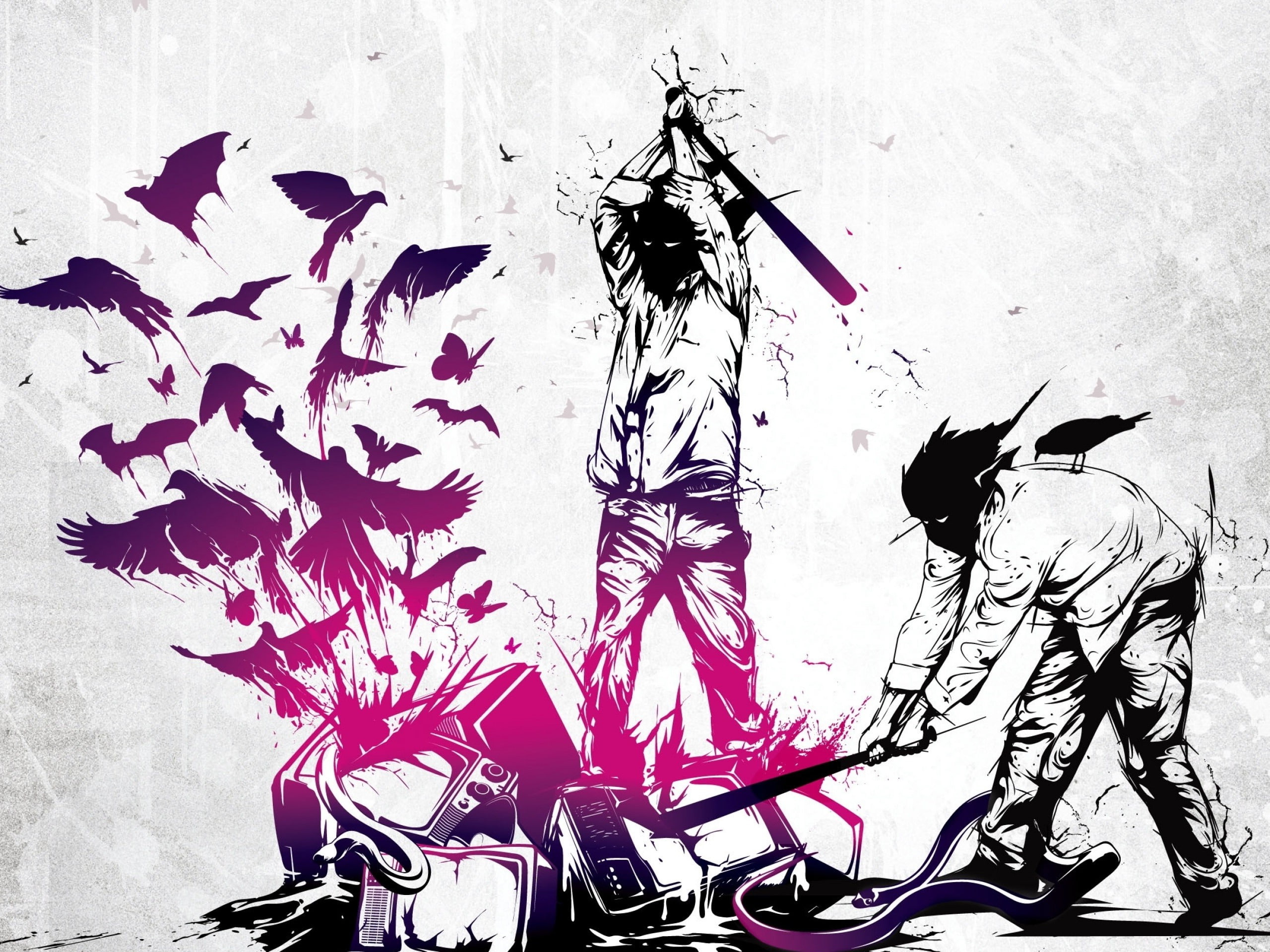representation, flower head, pink color, beauty in nature, wall - building feature, day, nature, music television sets artwork baseball bats birds destruction three days grace life starts now, HD Wallpaper