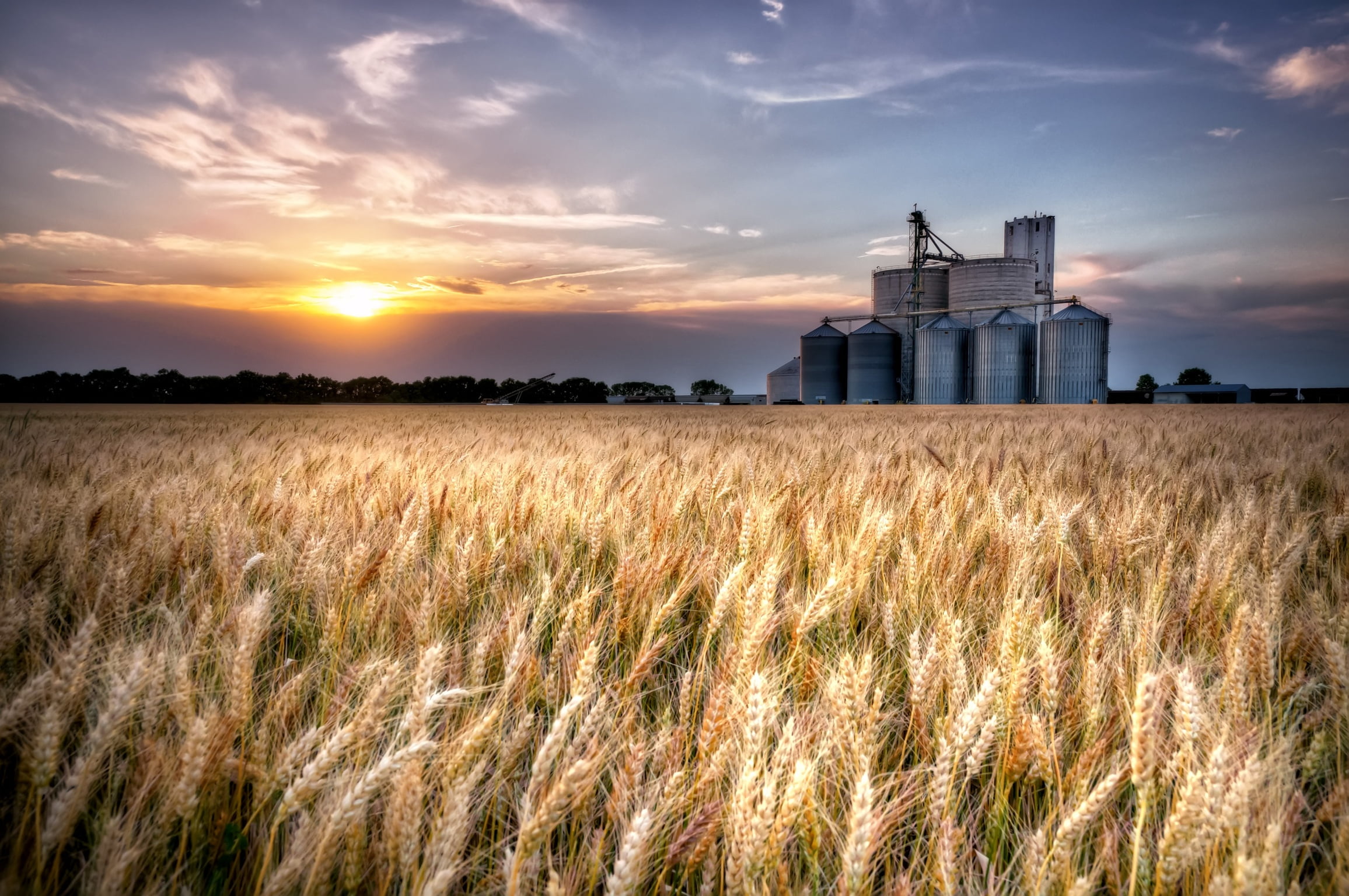 1080P, Wheat, Sumner  County, agriculture, rural Scene, Train Tracks, sky, farm, sunset, summer, nature, field, HD Wallpaper