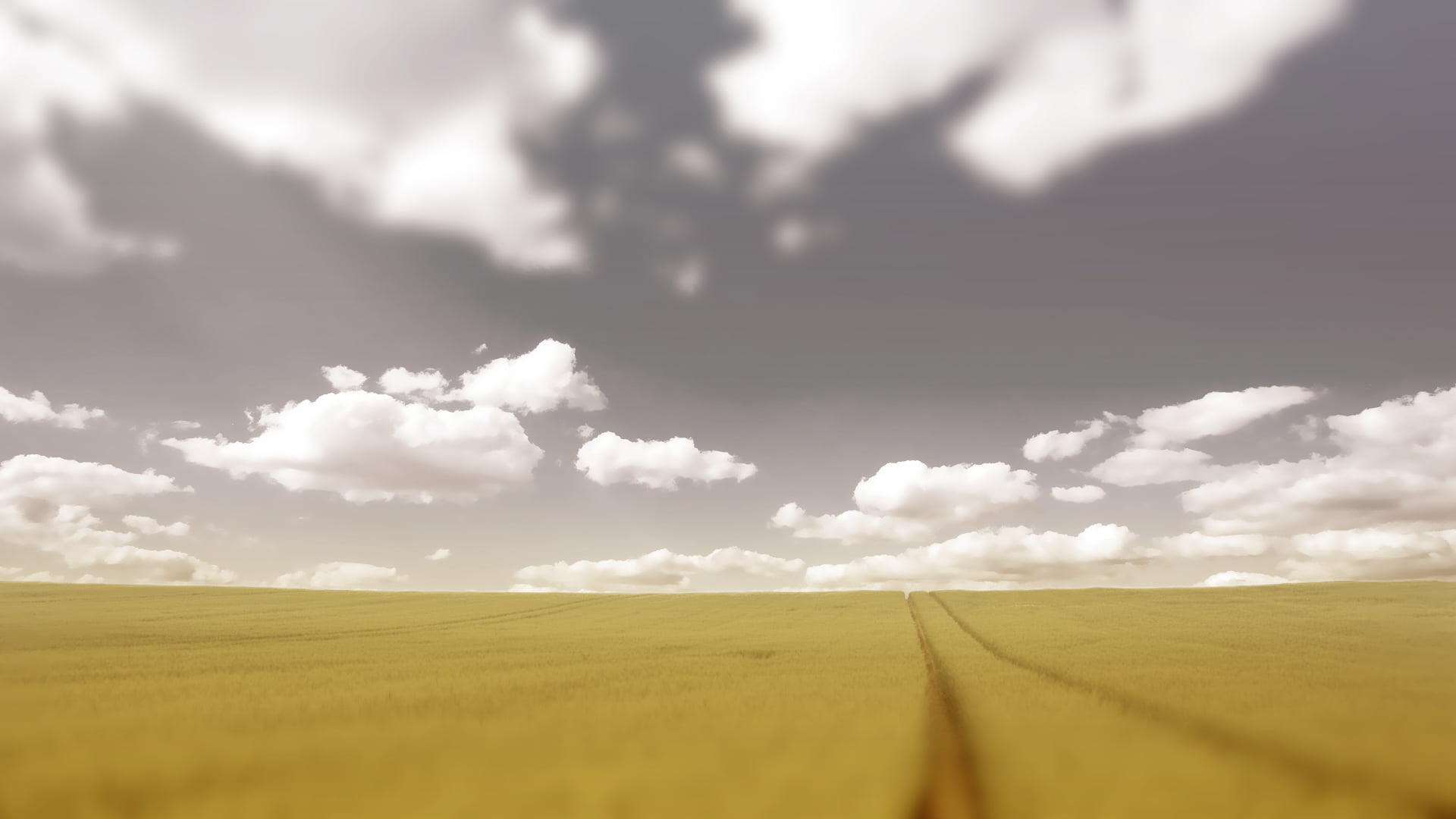 rural scene, horizon over land, field, plant, yellow, tranquil scene, sky, no people, horizon, land, environment, outdoors, 1080P, farm, beauty in nature, HD Wallpaper