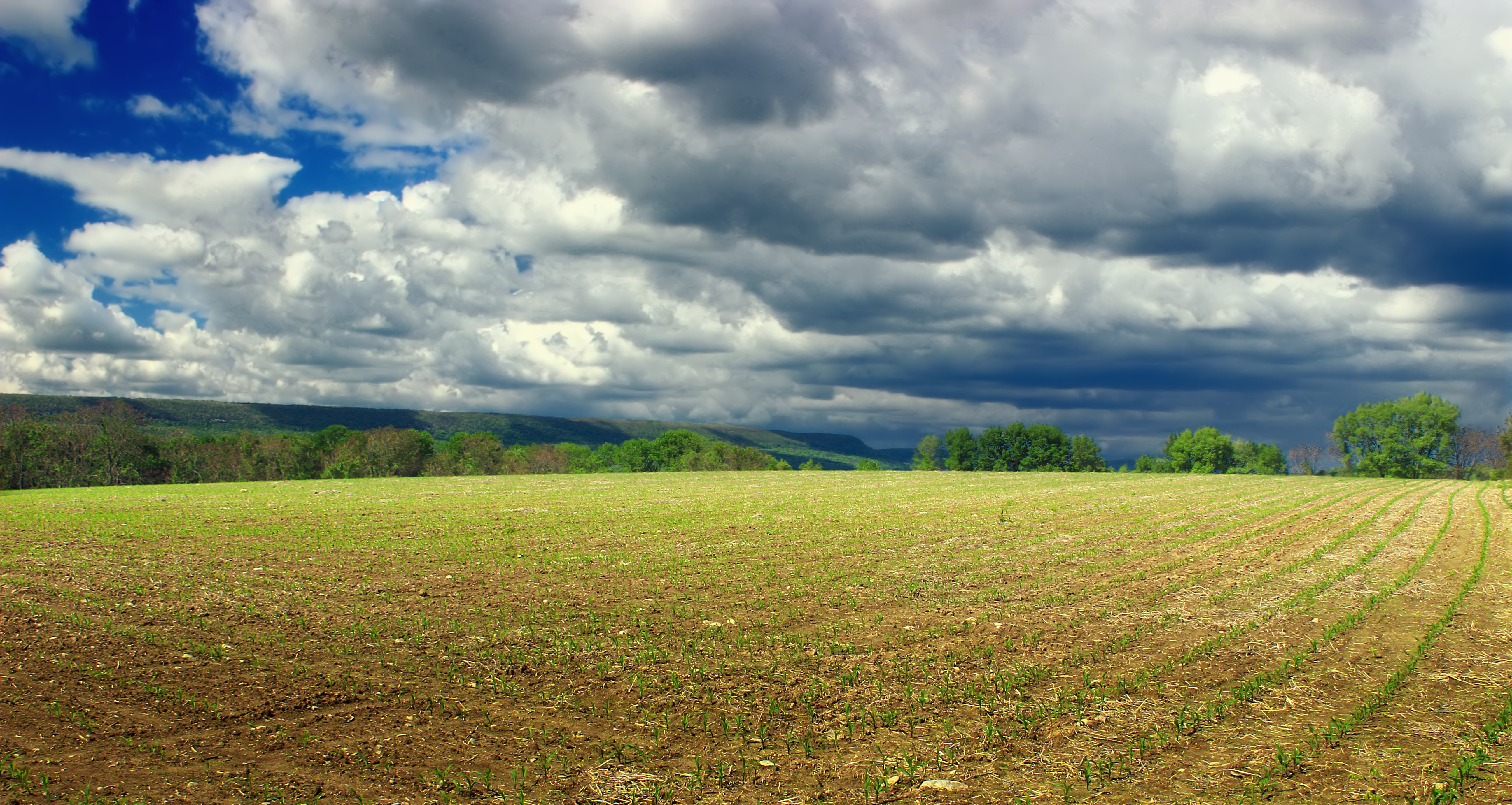cloudy, season, land, summer, Warren County, hiking, farm, Wildlife Management Area, sky, agriculture, cloud - Sky, Revisit, nature, creative commons, trees, HD Wallpaper