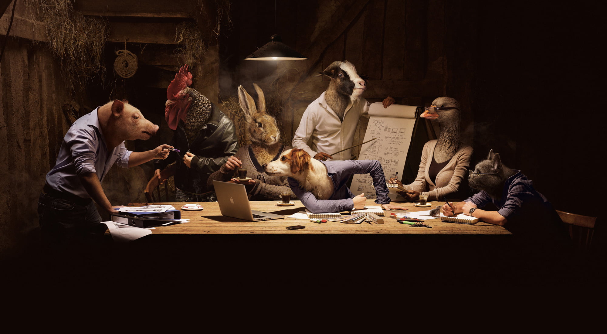 rabbit, working, ape, goose, night, people, communication, males, women, graphics, business person, friendship, indoors, dog, 1080P, business, females, HD Wallpaper