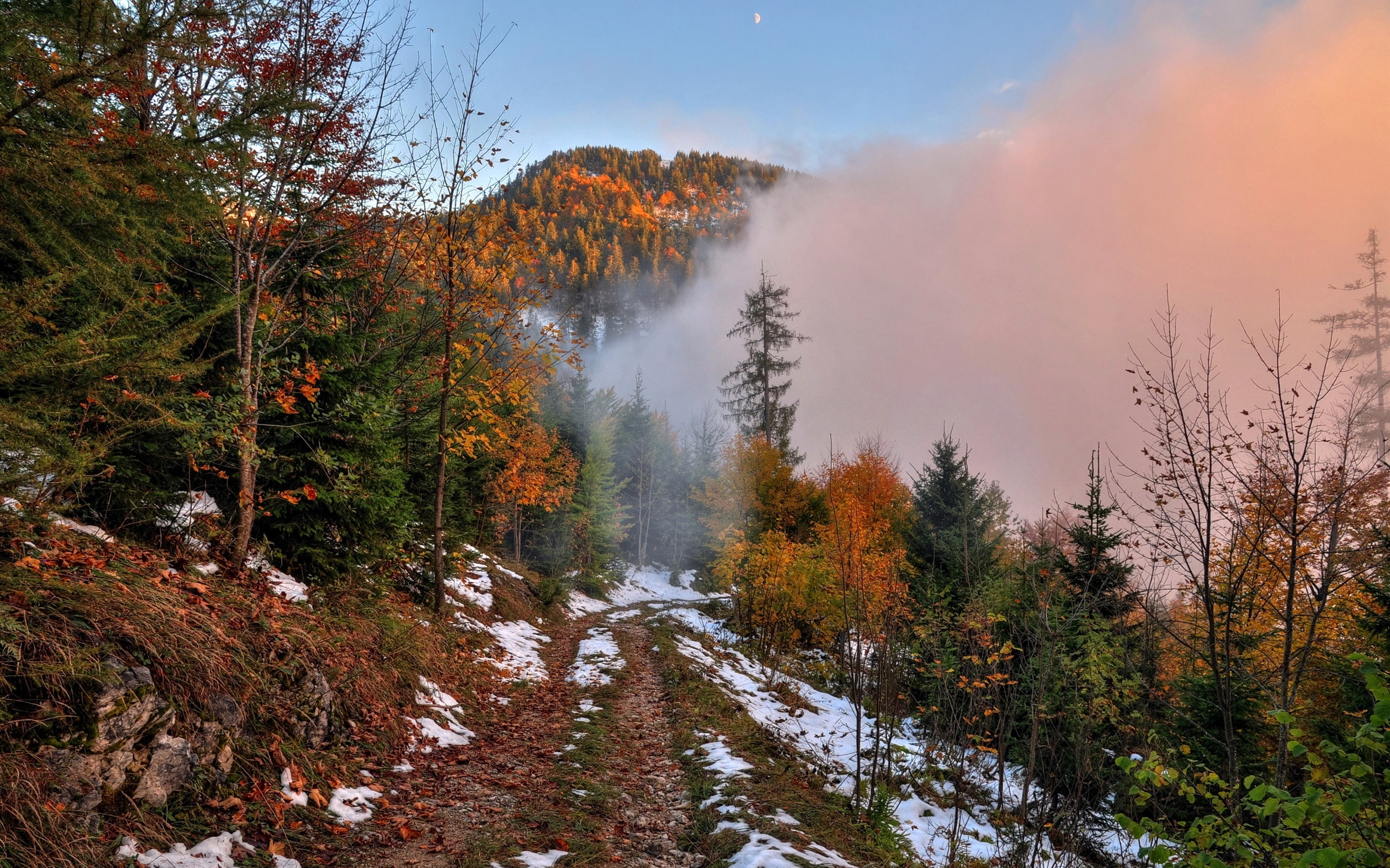 2K, Footpath, Mountain, Forest, Dawn, Snow, Fog, Trees, Autumn, HD Wallpaper
