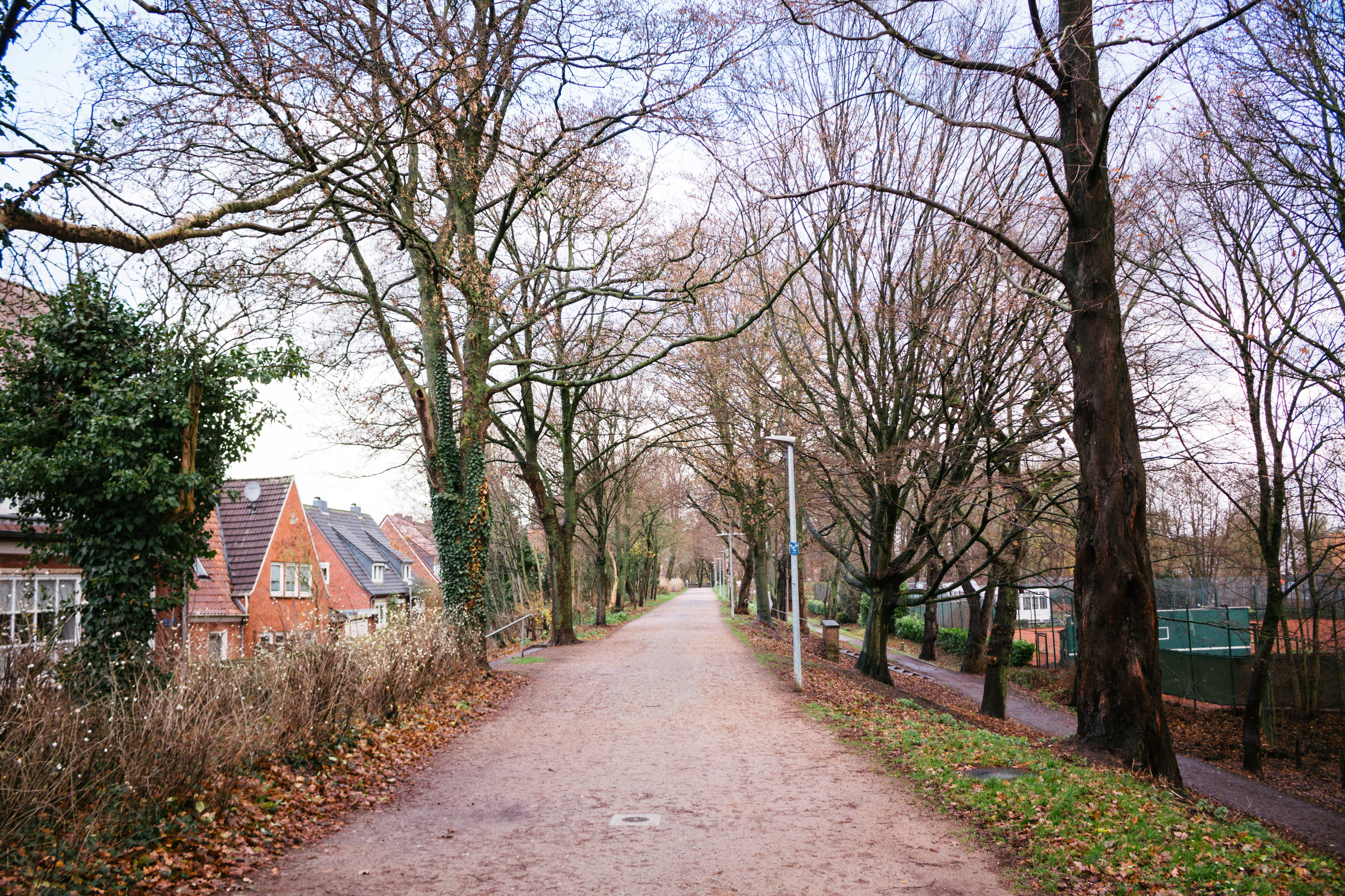 house, walkway, urban, street, town, change, sky, day, bare tree, emden, empty, branch, 5K, outdoors, asphalt, tree, building, germany, no people, land, HD Wallpaper