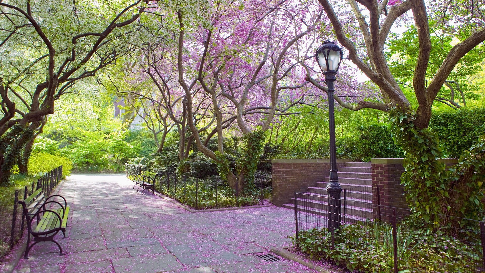 green, building exterior, scenics, park - Man Made Space, branch, outdoors, built structure, seat, trees, springtime, sidewalk, park, 1080P, tranquility, HD Wallpaper