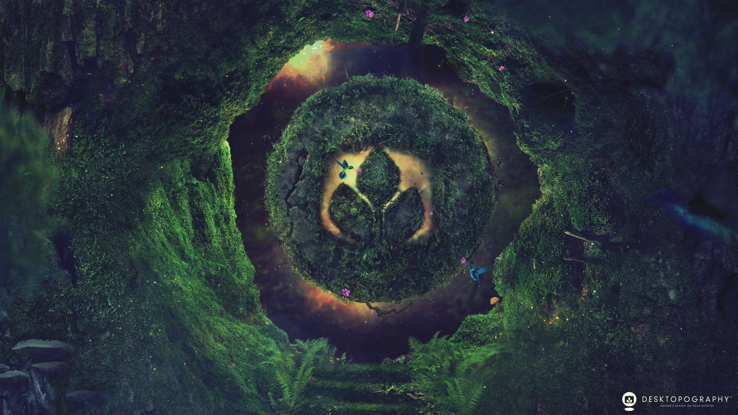 tree trunk, outdoors, forest, shape, old, close-up, no people, brown, land, painting, plant, moss, green color, undergrowth, Desktopography, logo, trunk, HD Wallpaper