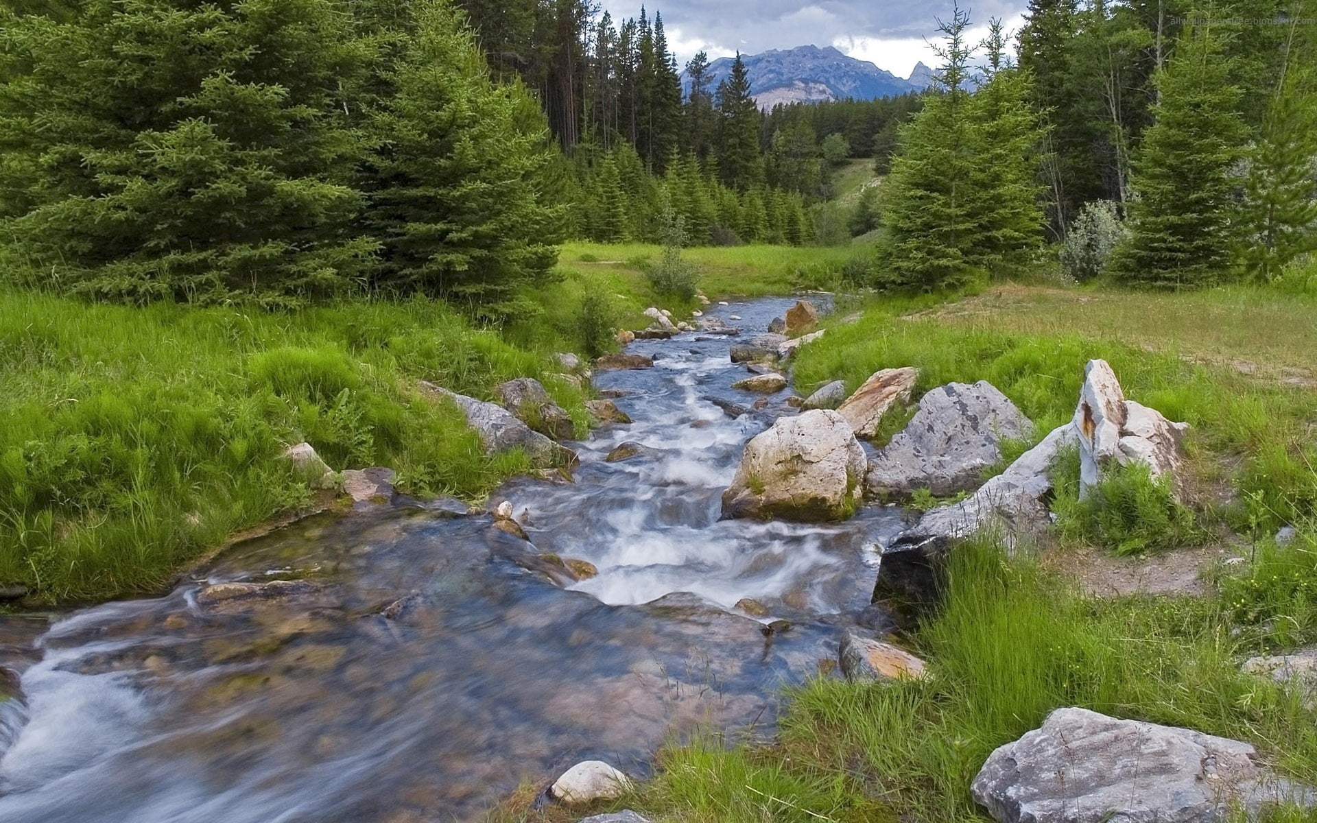 landscape, woodland, summer, foliage, outdoors, mountain Range, valley, waterfall, stream - flowing water, extreme Terrain, non-Urban Scene, mountains, HD Wallpaper