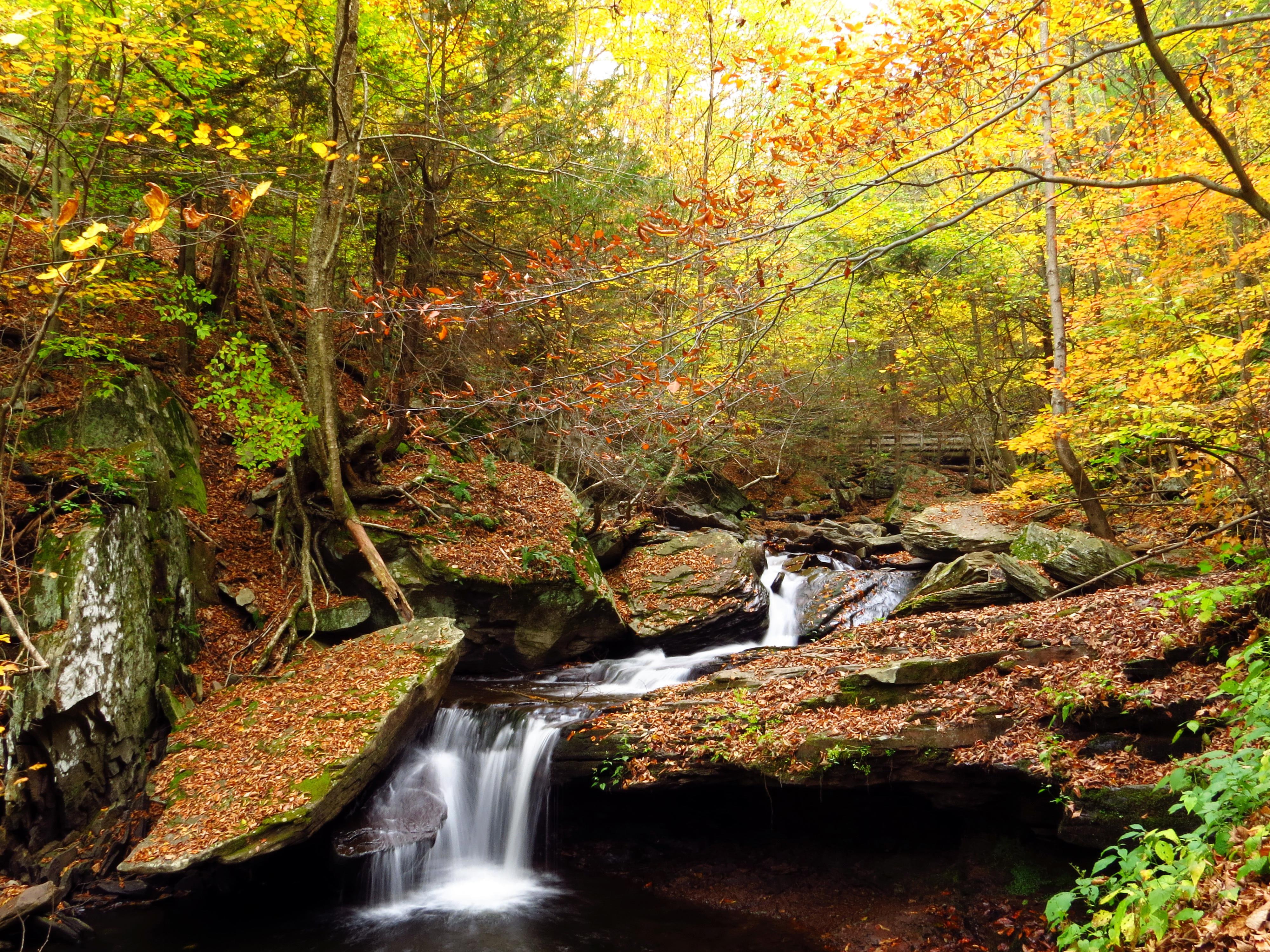 4K, forests, nature, waterfalls, autumn, foliage, HD Wallpaper